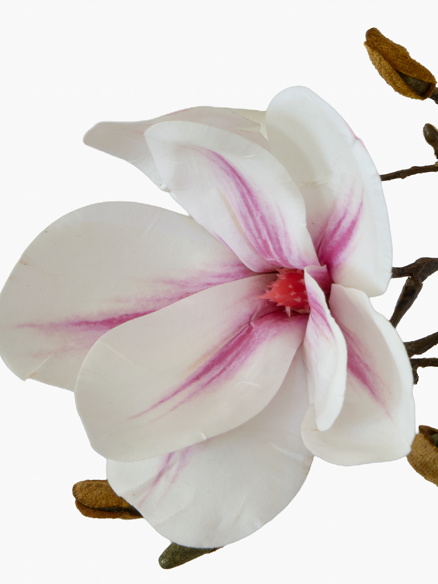 Real Touch Magnolia material example