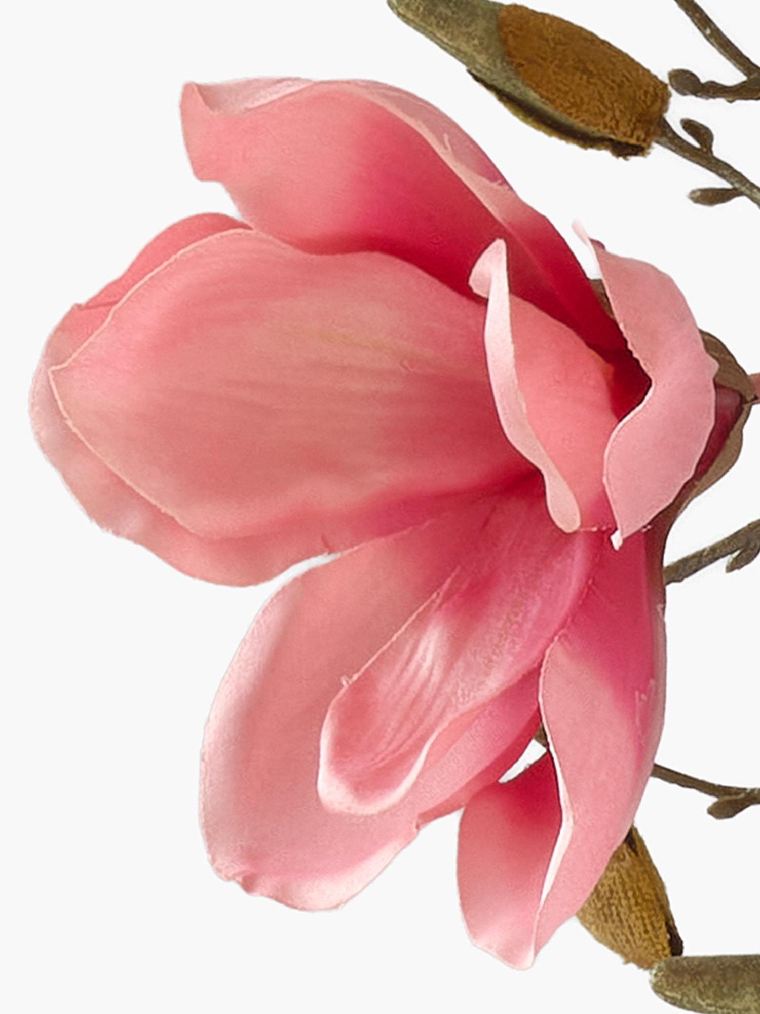 Silk Magnolia material example