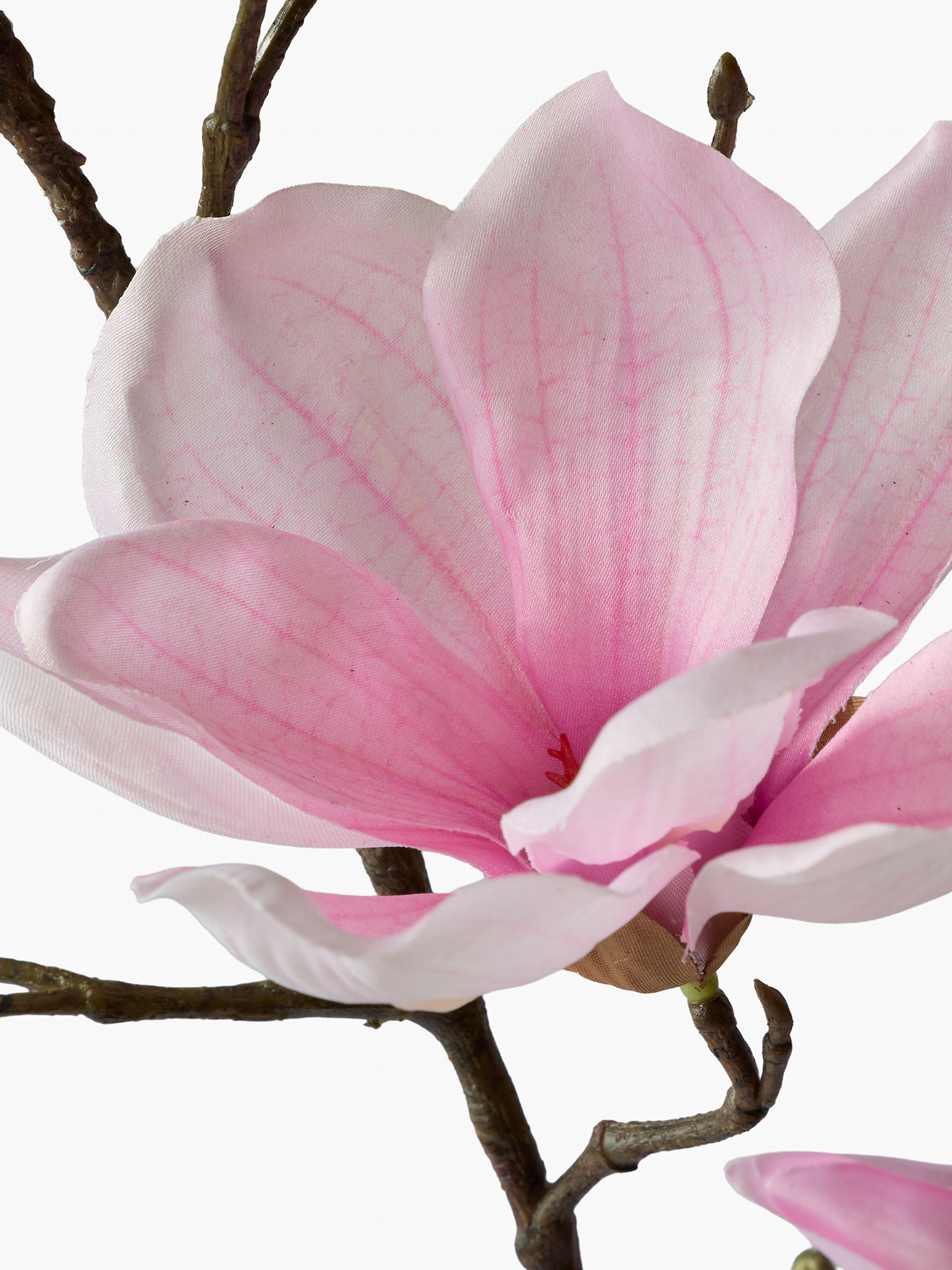 Texture Printed Magnolia material example