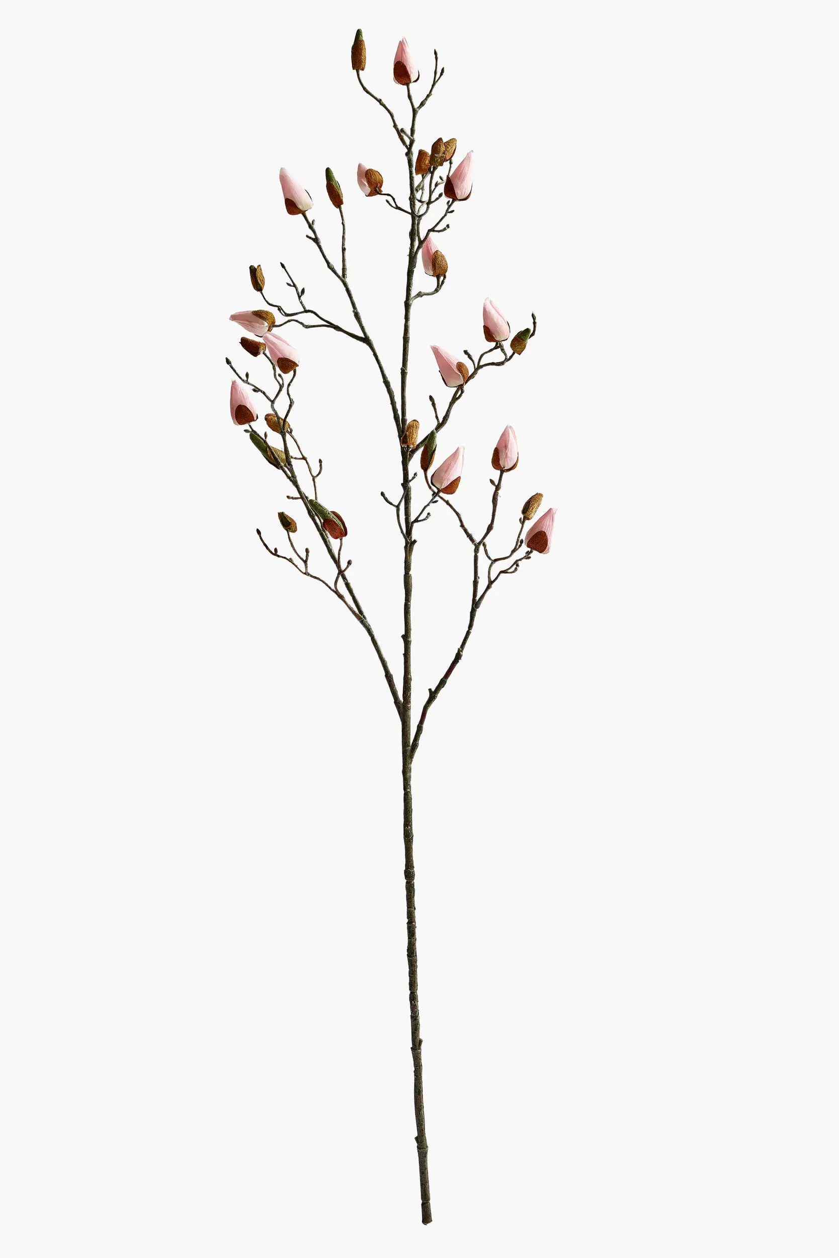 Large Branch Magnolia Buds - Pink