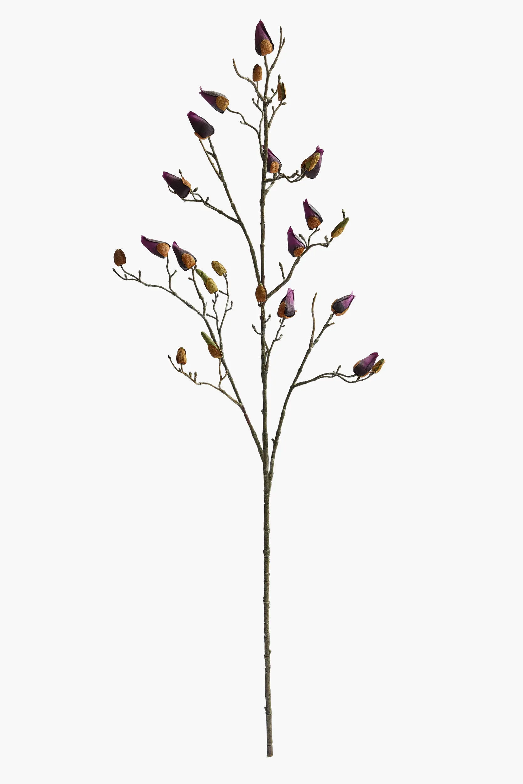 Large Branch Magnolia Buds - Purple