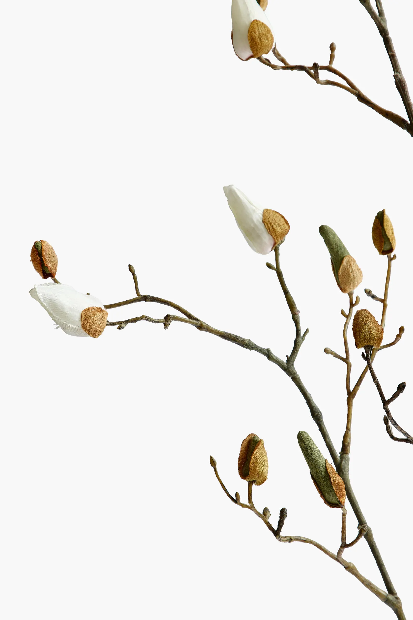 Large Branch Magnolia Buds - White secondary view