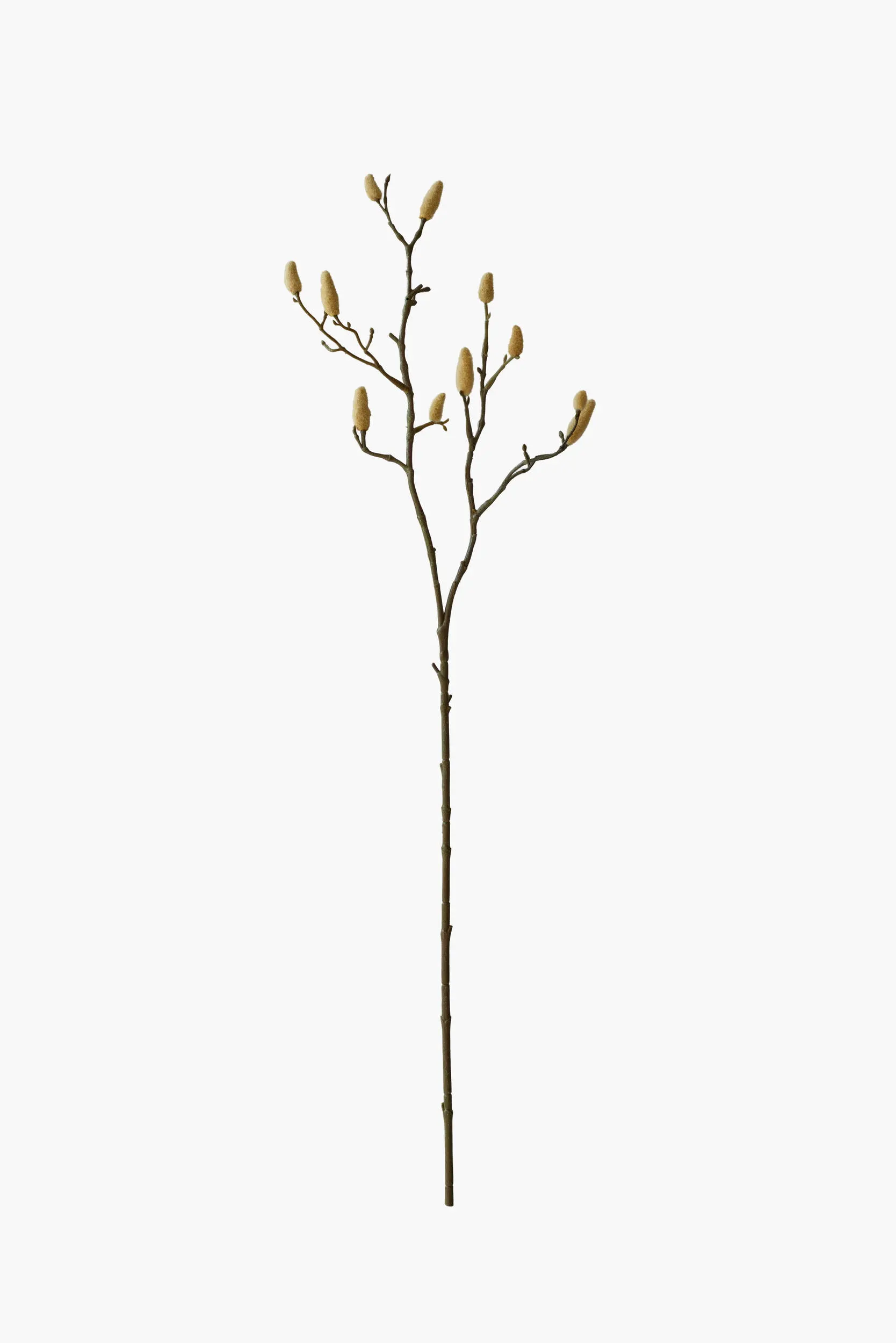 Medium Branch Magnolia Buds - Natural