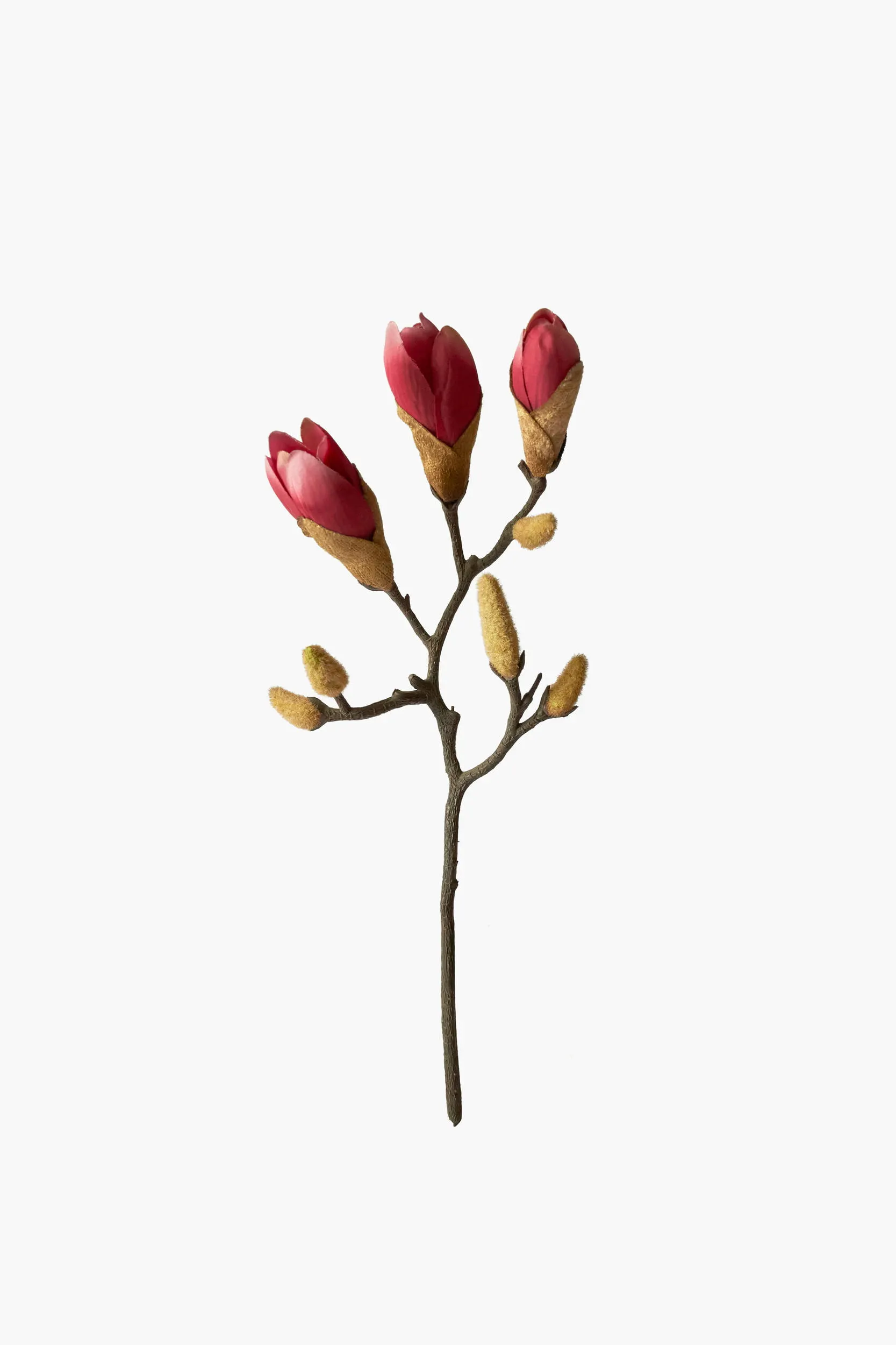 Short Branch Magnolia Buds - Red