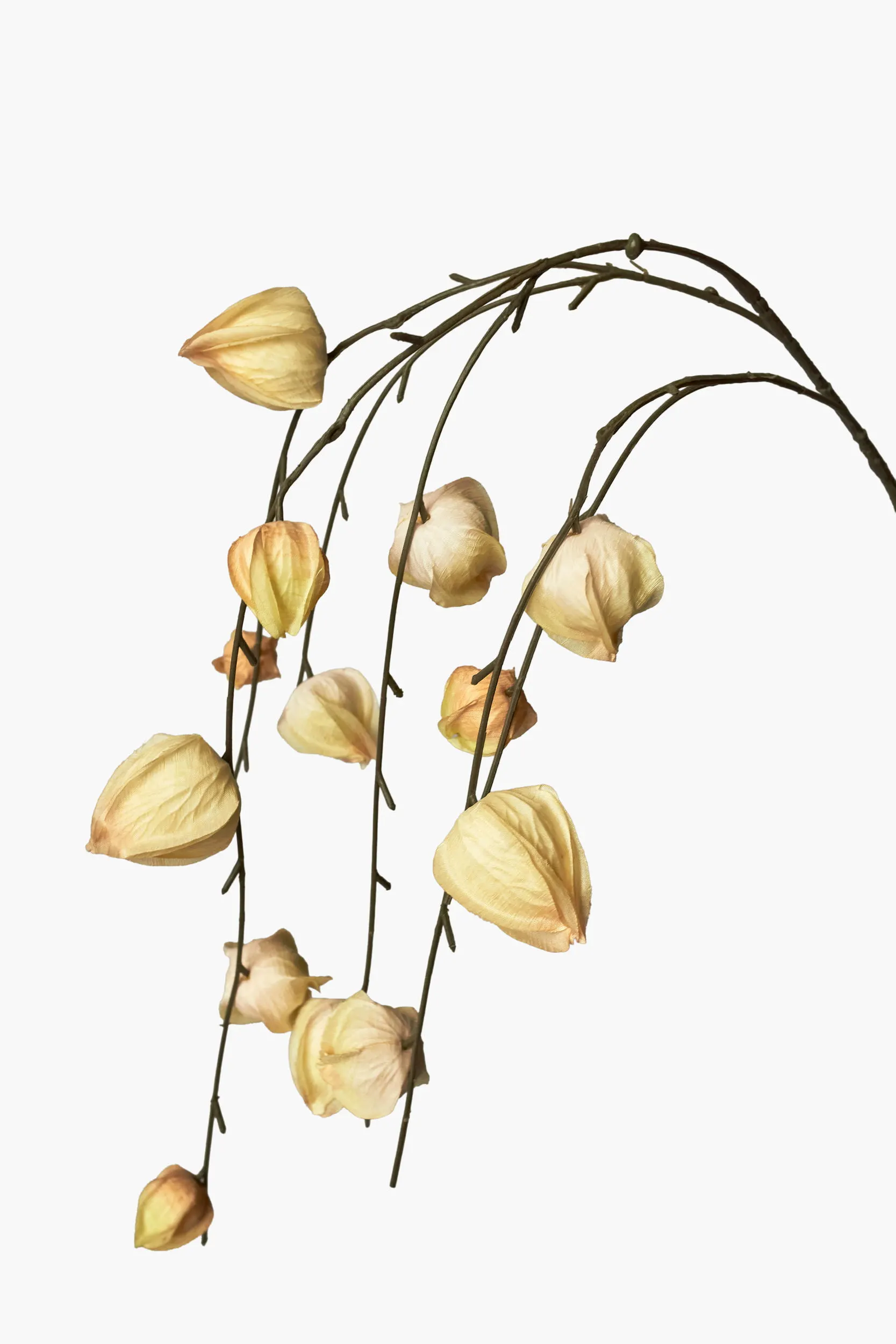 Large Branch Physalis - Color 06 secondary view