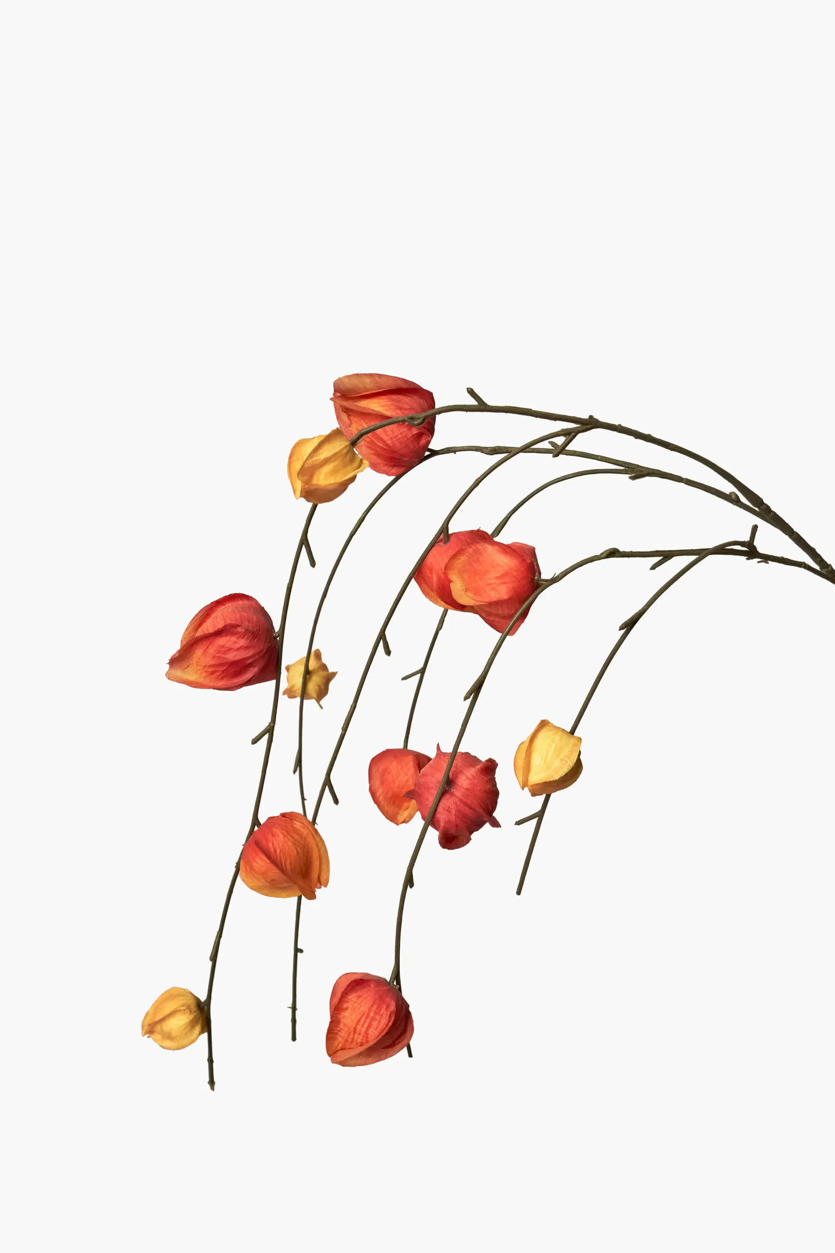 Large Branch Physalis - Color 08 secondary view