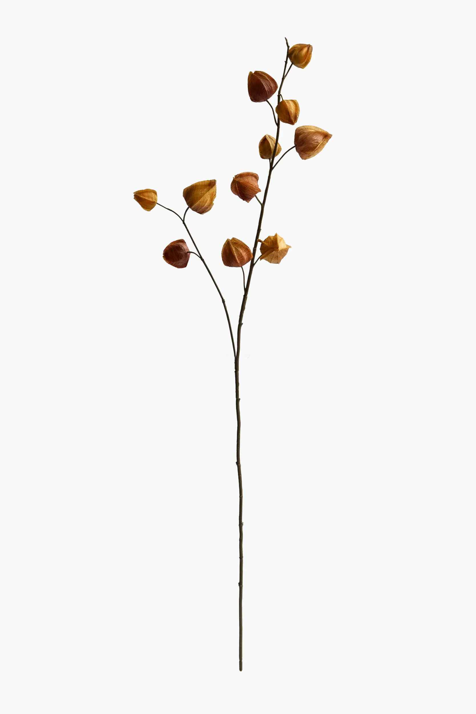 Medium Branch Physalis - Color 07