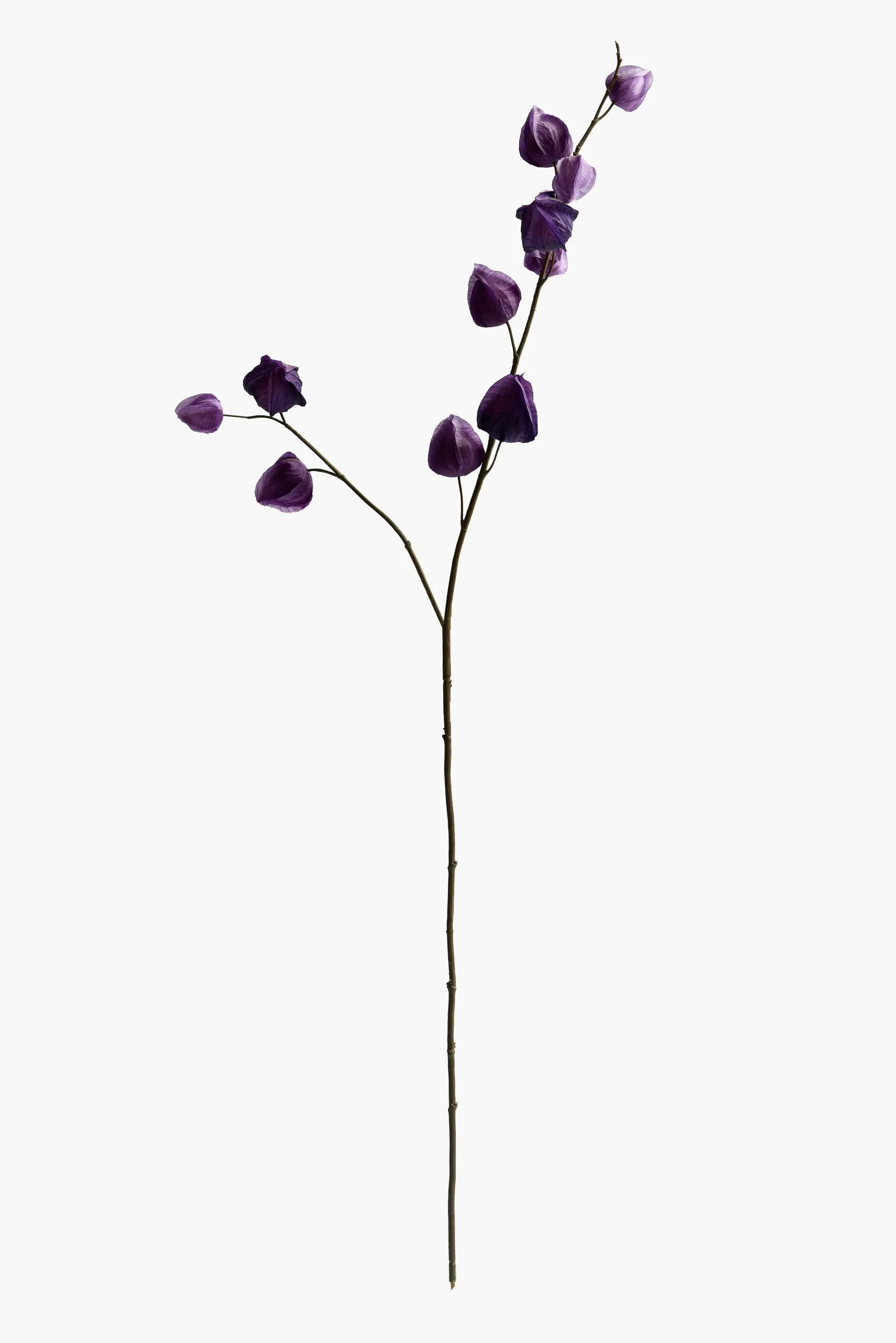 Medium Branch Physalis - Color 12