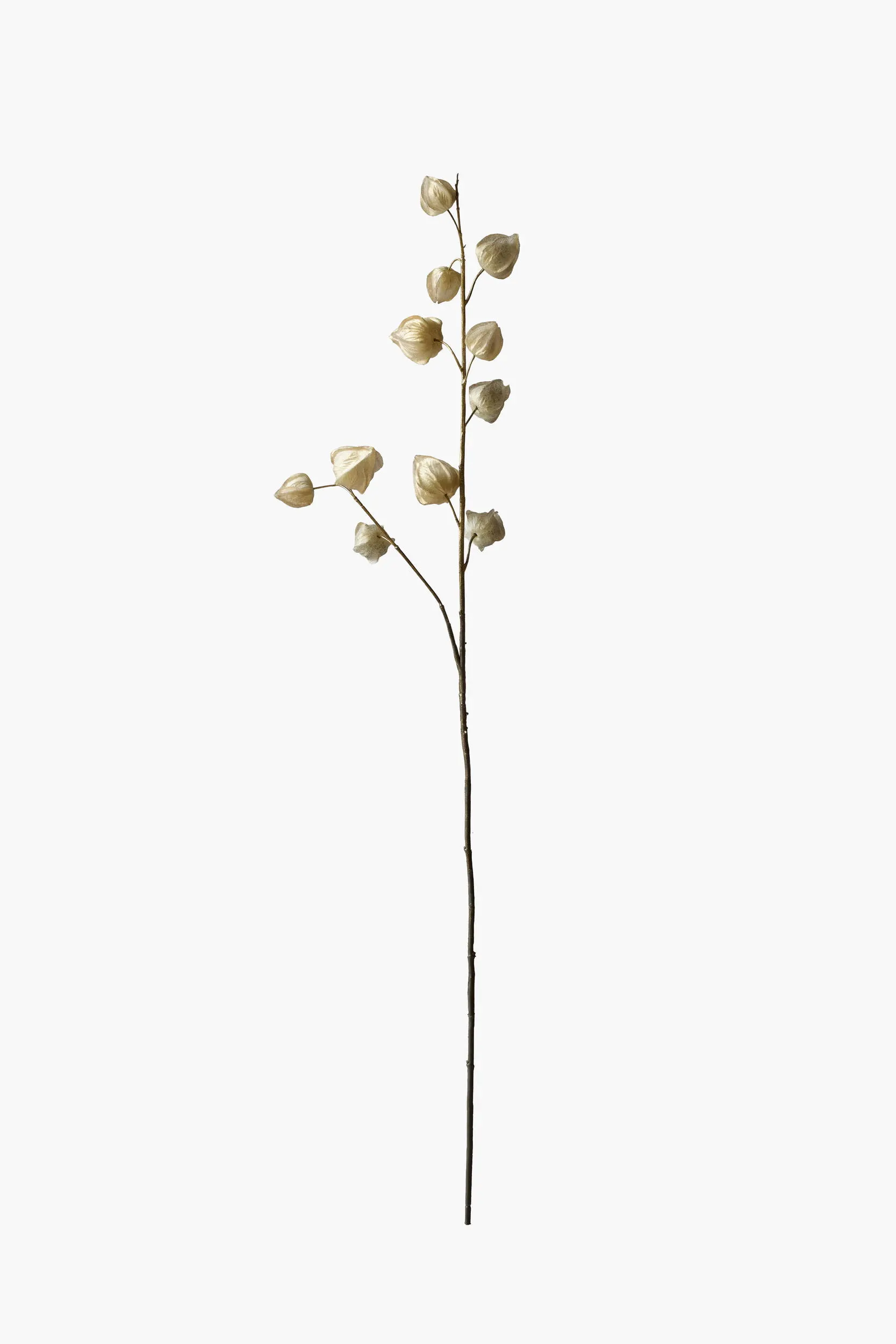 Medium Branch Physalis - Light Yellow (Metallic Finish)