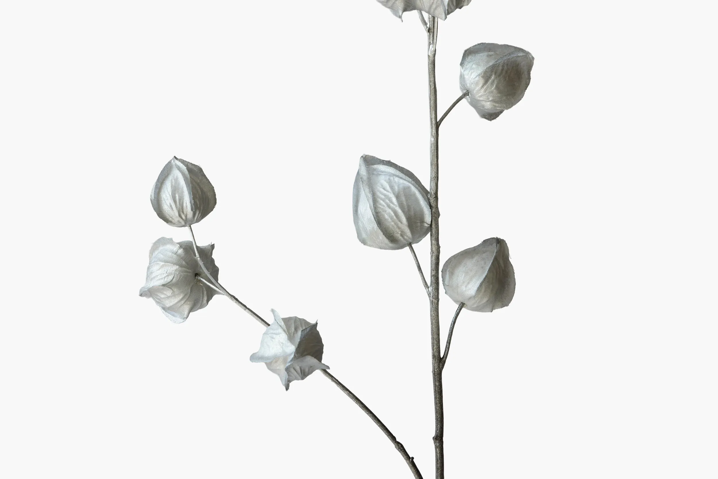 Medium Branch Physalis - Silver (Metallic Finish) secondary view