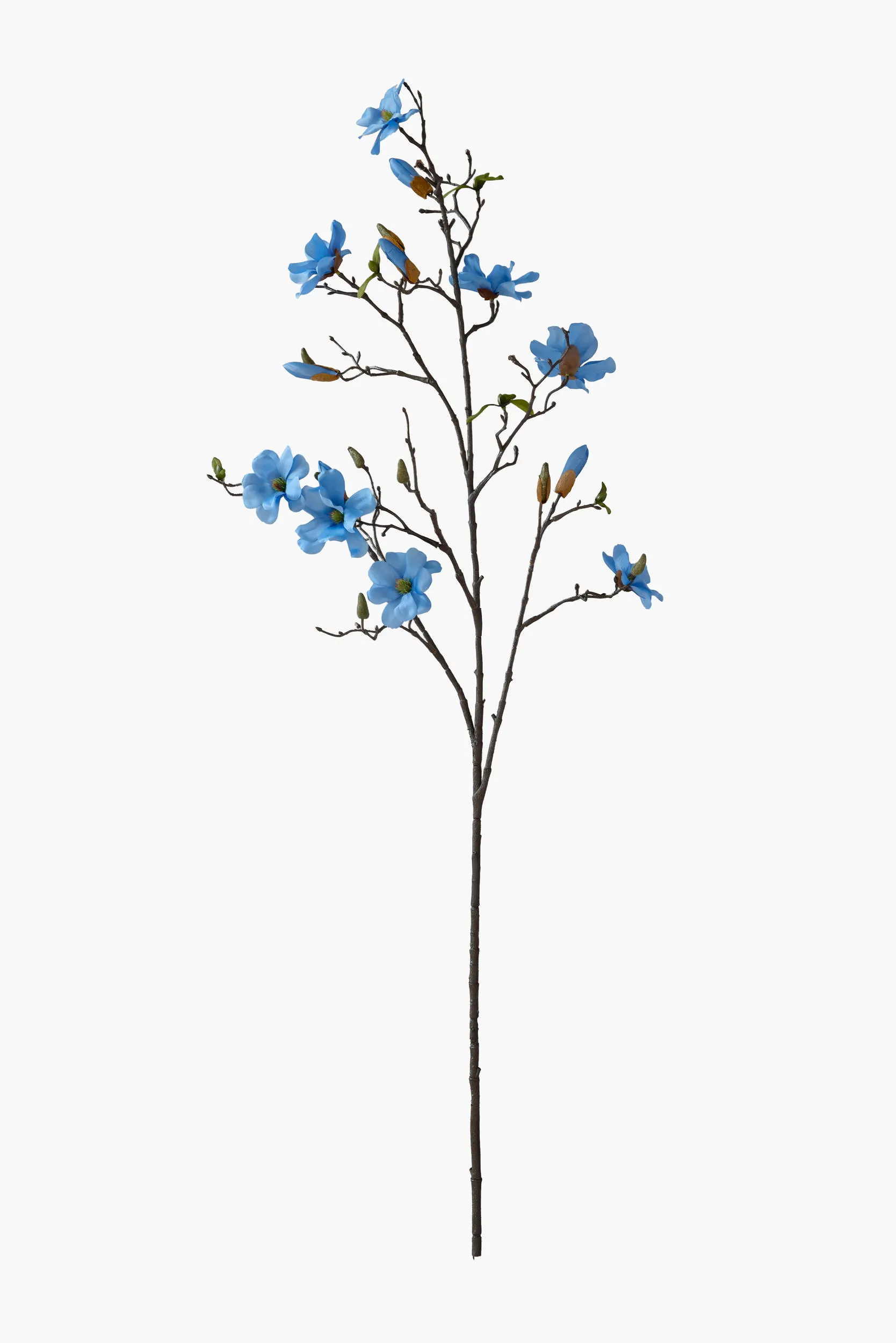 Large Branch Saucer Magnolia - Blue