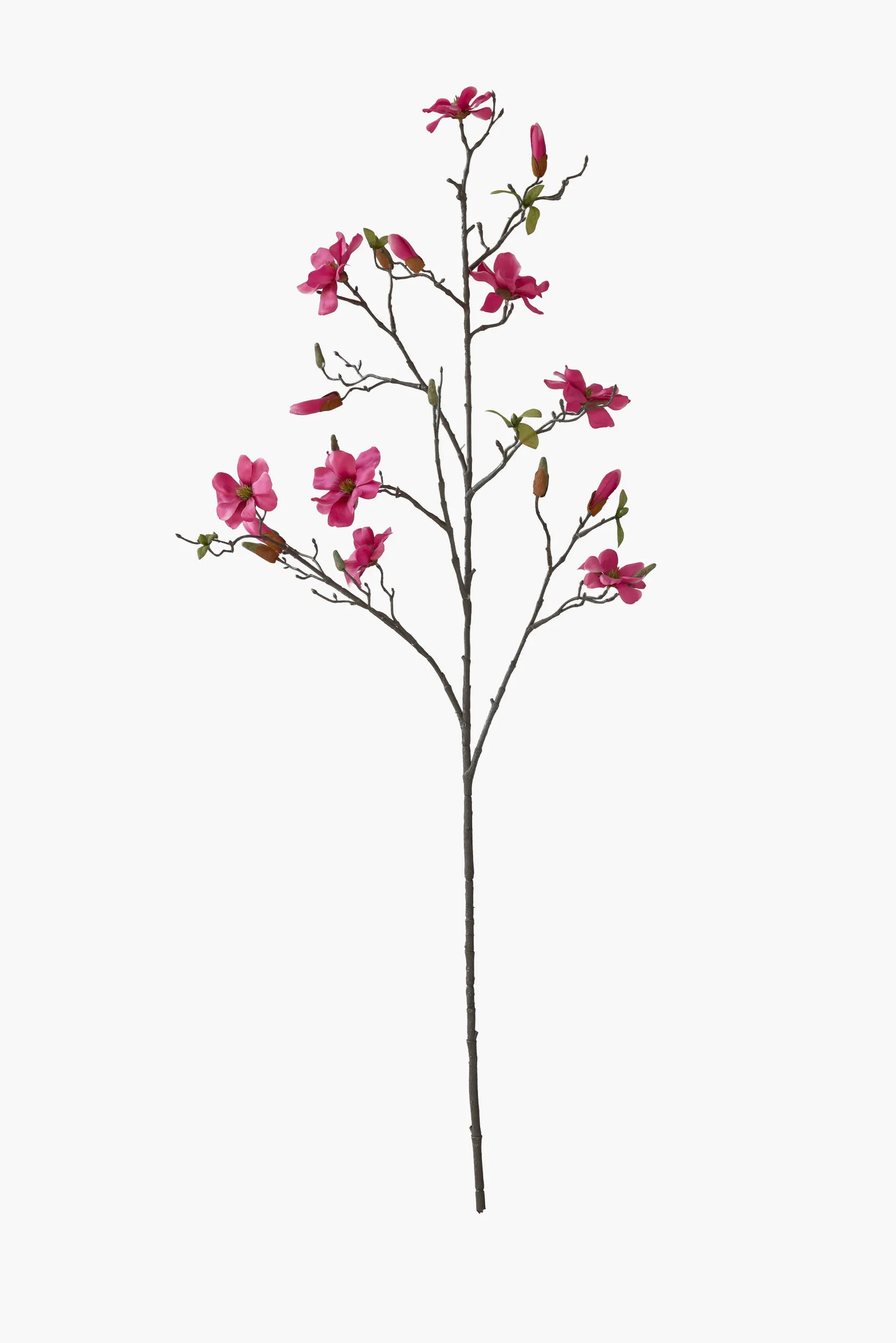 Large Branch Saucer Magnolia - FuchiaPink