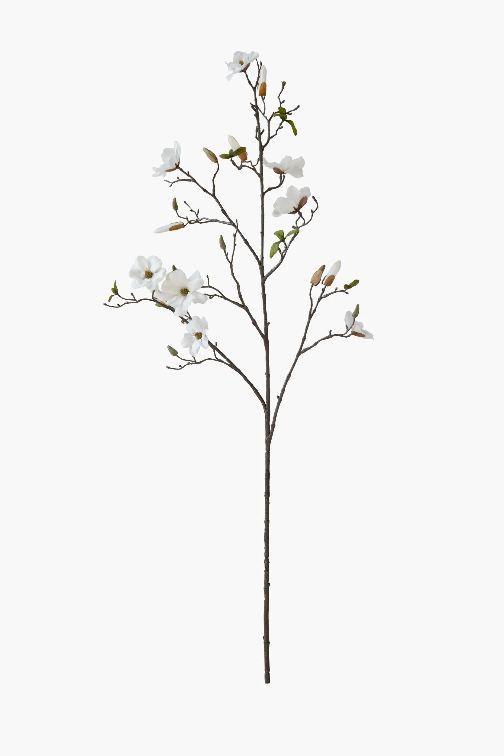 Large Branch Saucer Magnolia - White