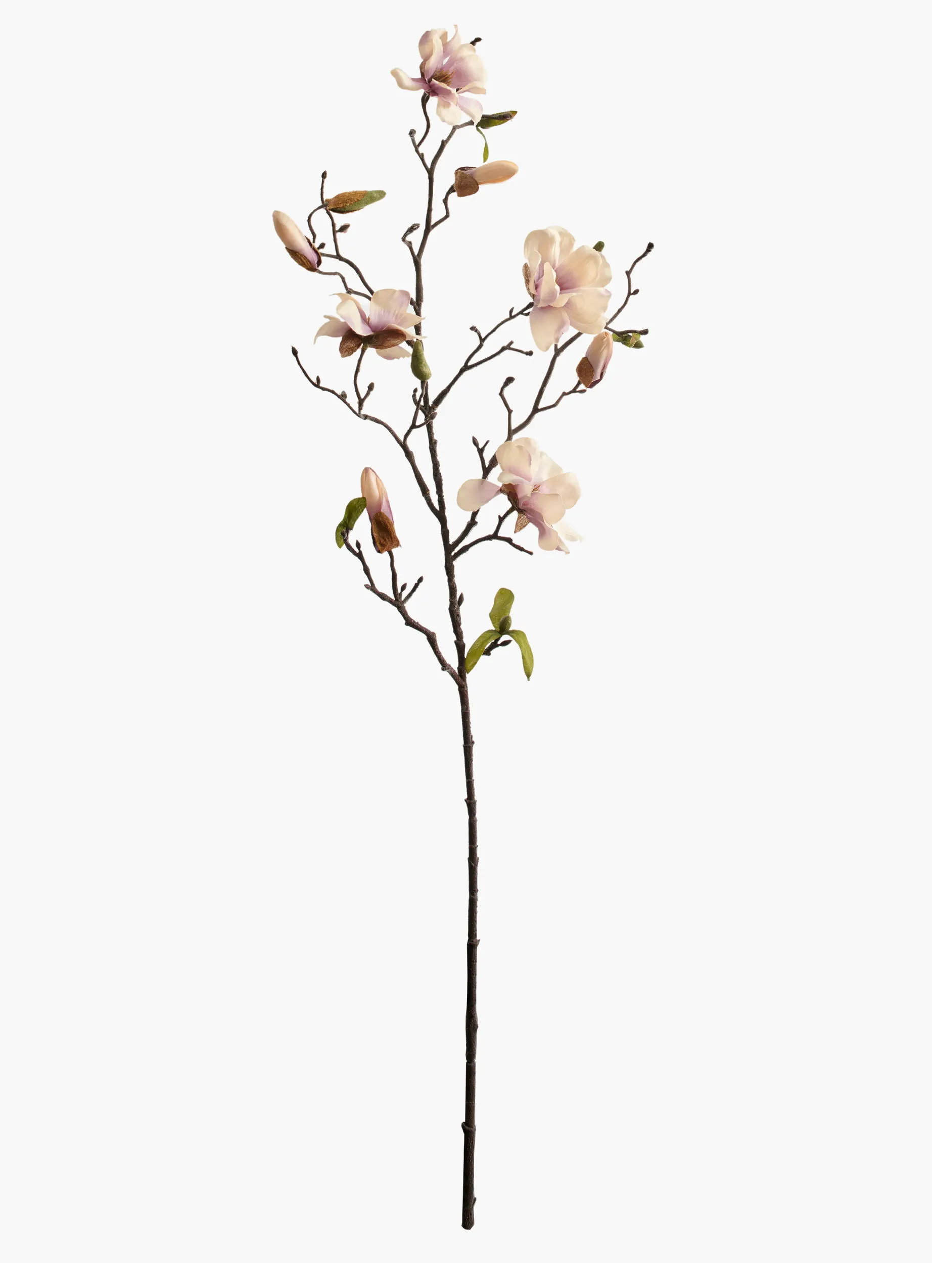 Medium Branch Saucer Magnolia - Pink