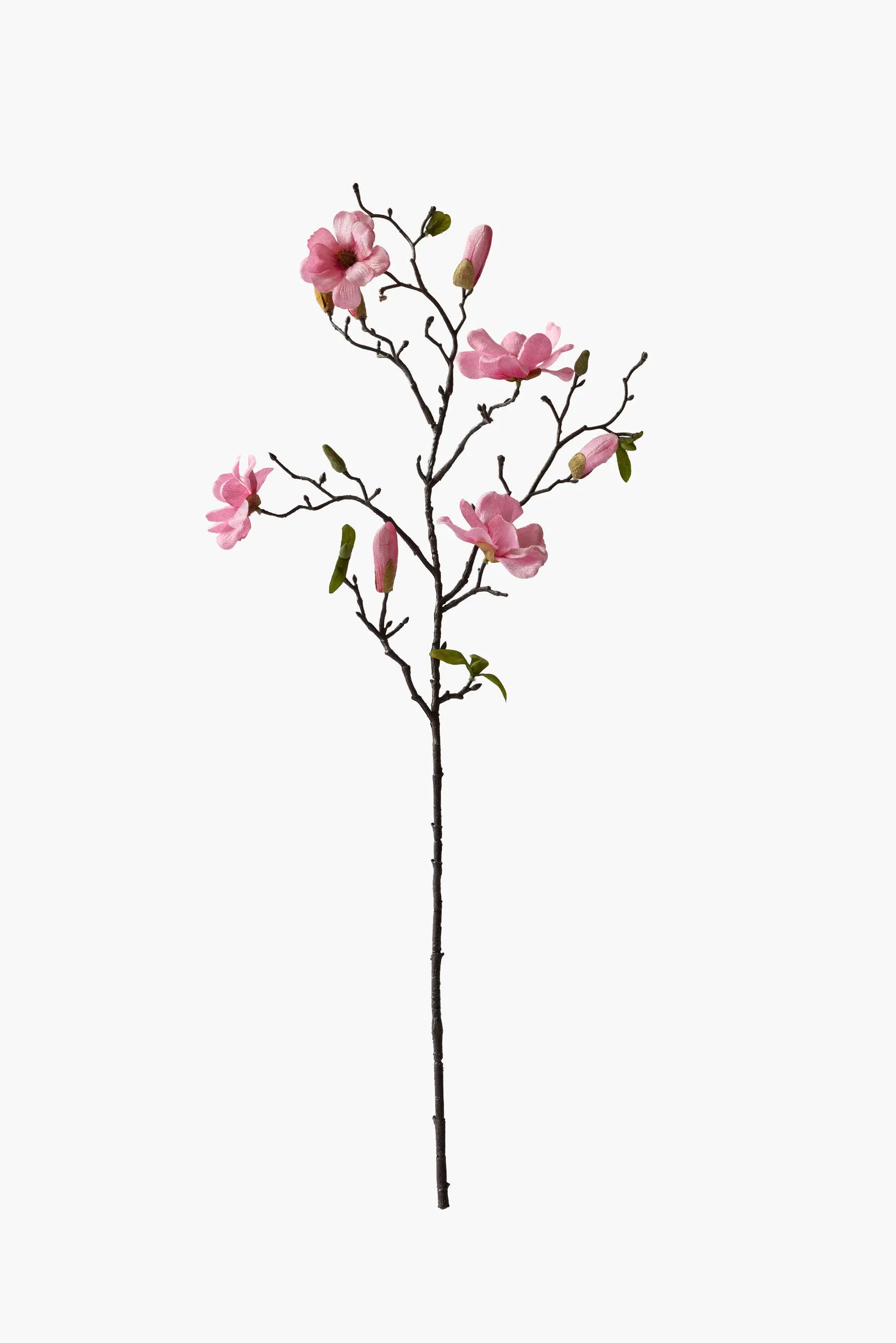 Medium Branch Saucer Magnolia - Pink (Cotton Fabric)