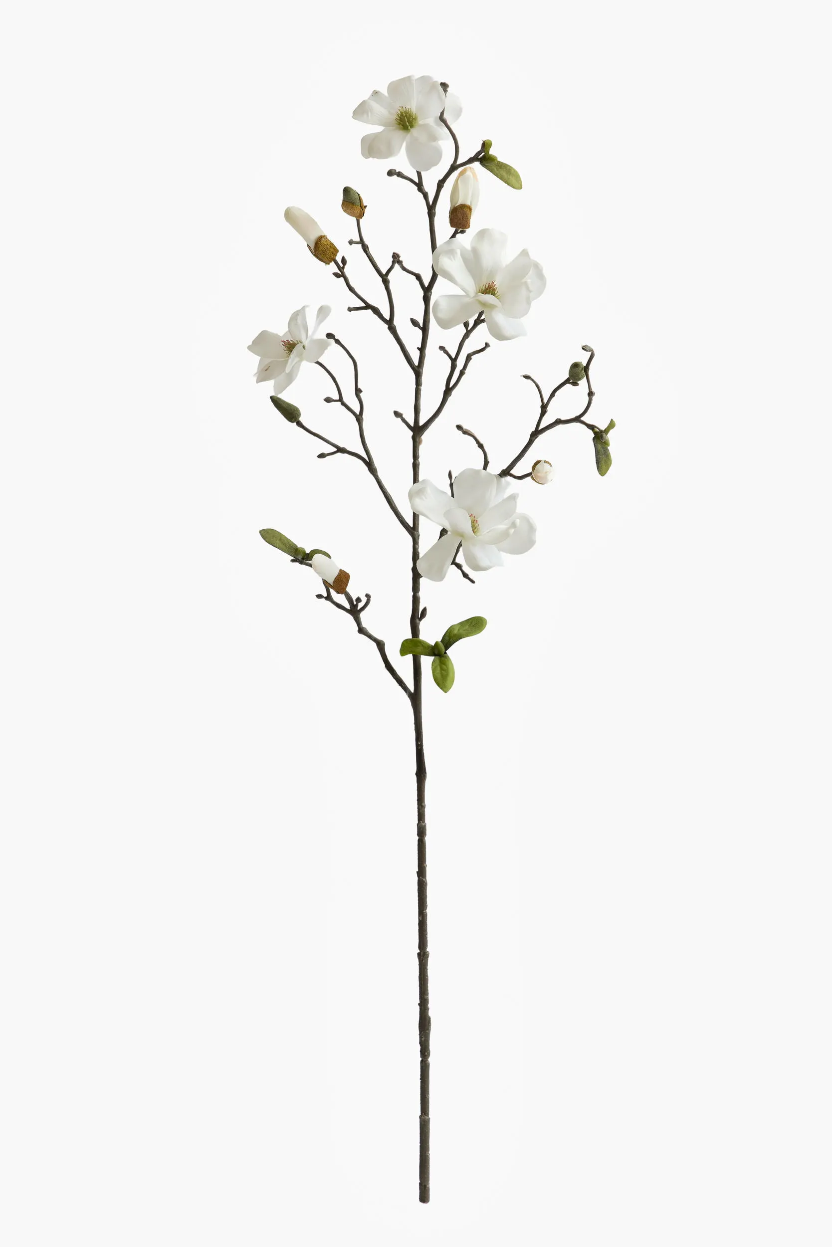Medium Branch Saucer Magnolia - White
