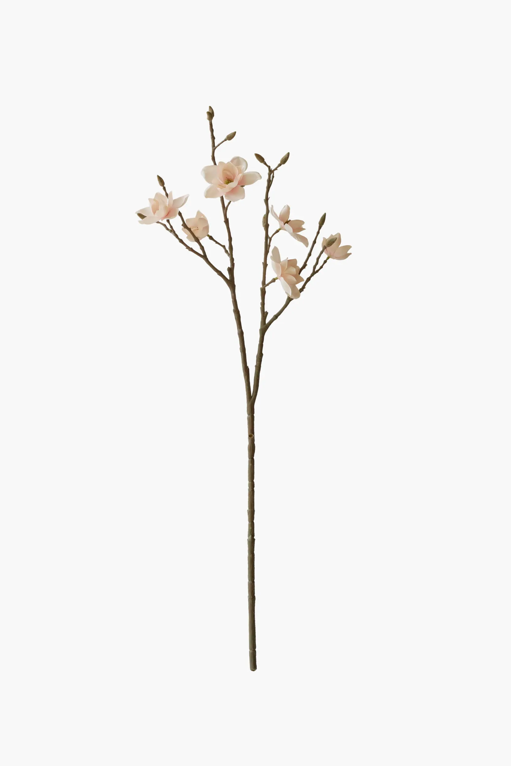 Medium Branch Southern Magnolia - Pink