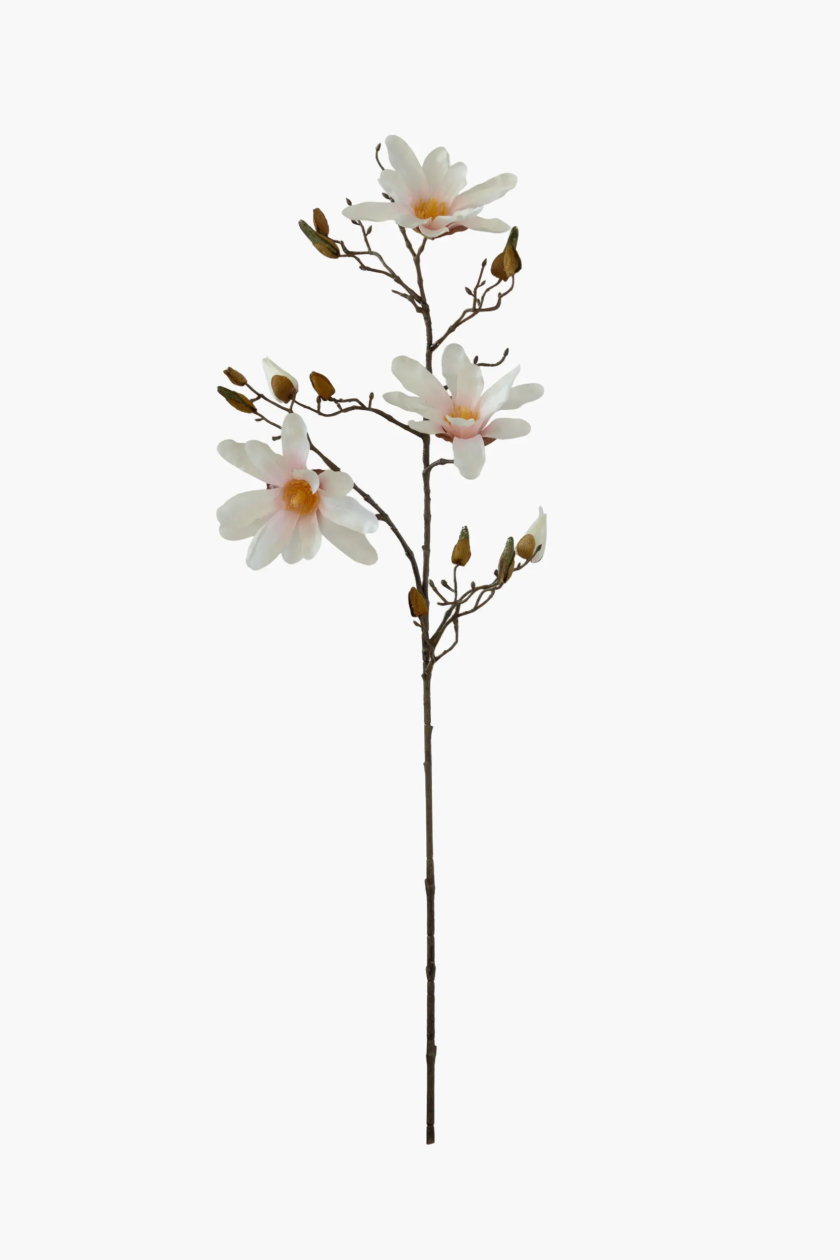 Medium Branch Star Magnolia - Light Pink