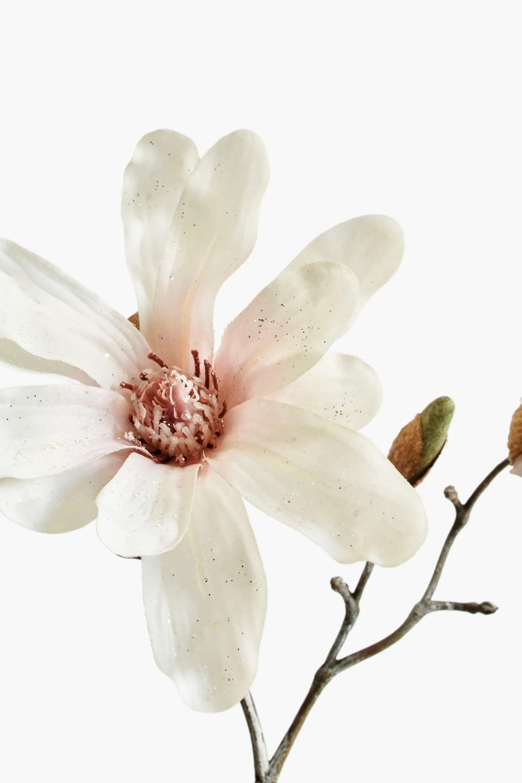 Short Branch Star Magnolia - Light Pink secondary view