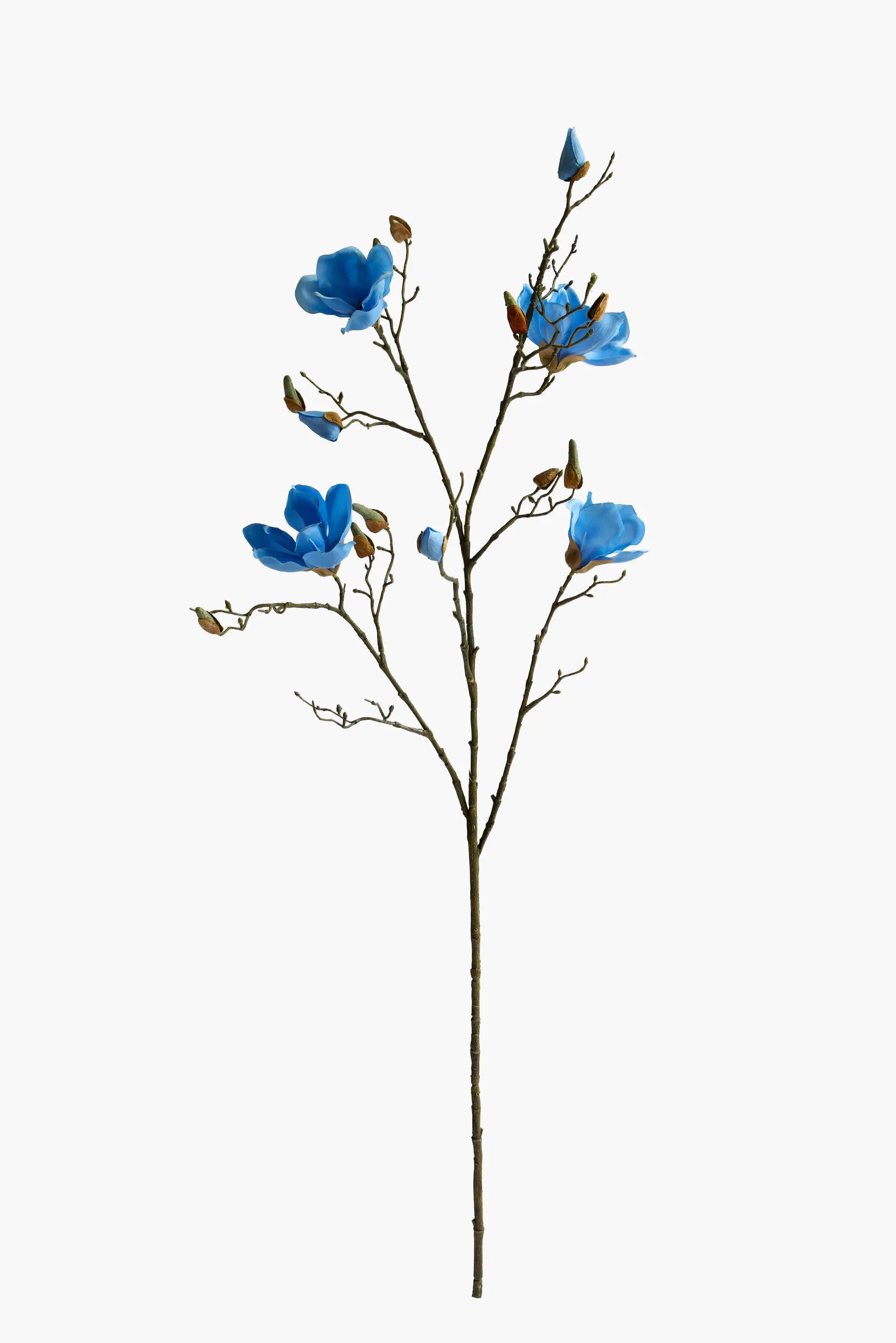 Large Branch Yulan Magnolia - Blue