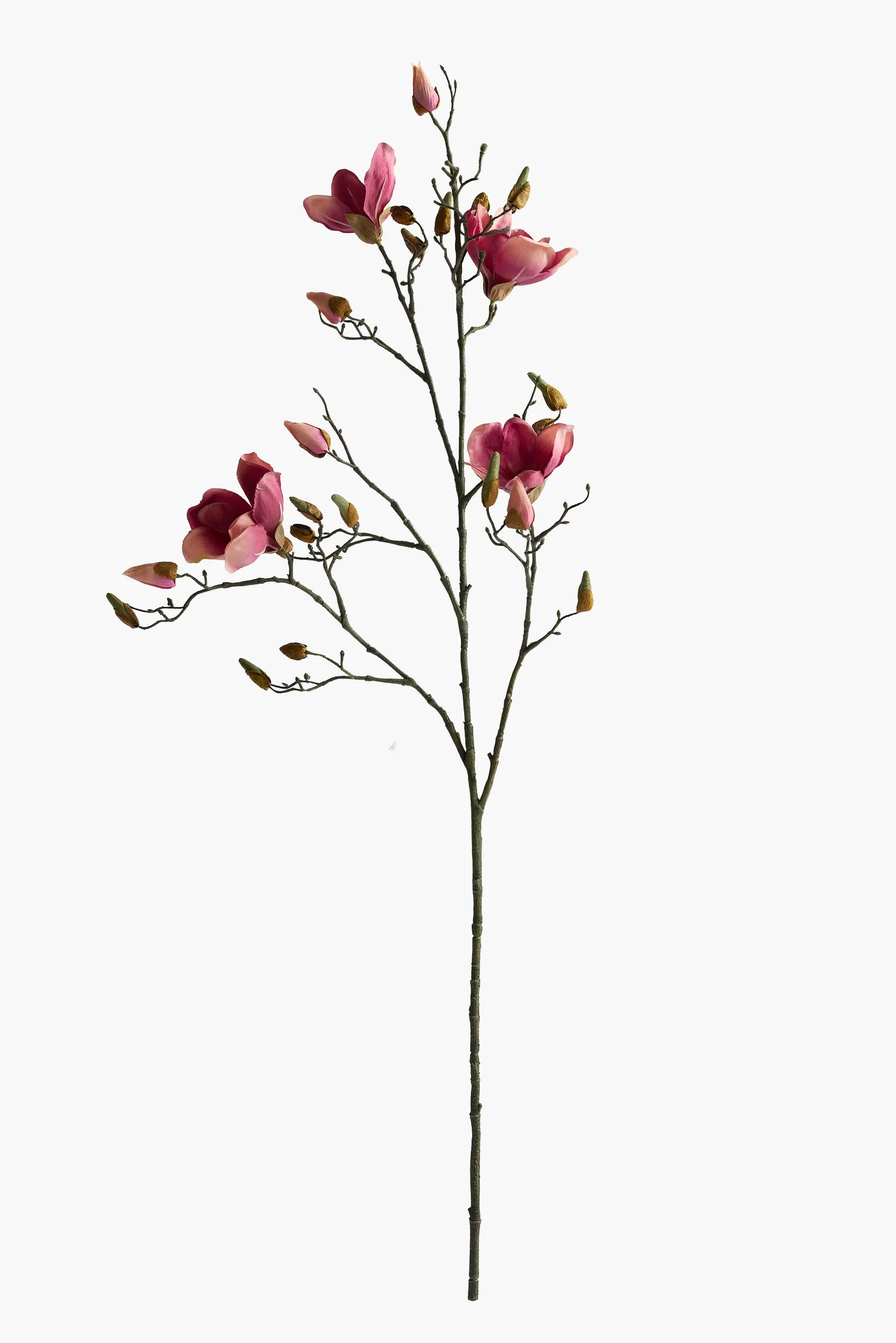 Large Branch Yulan Magnolia - Dark Red