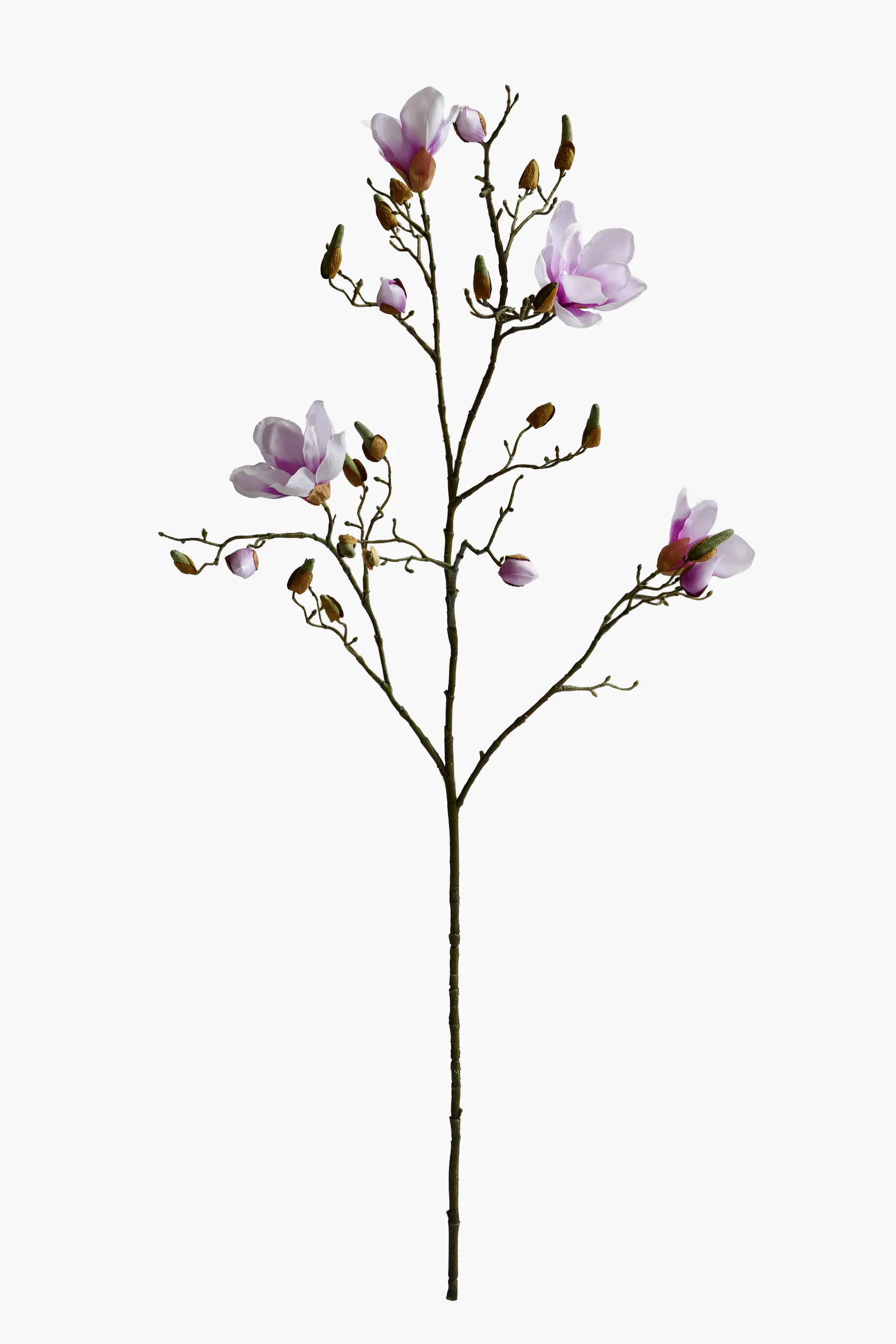 Large Branch Yulan Magnolia - Lavender