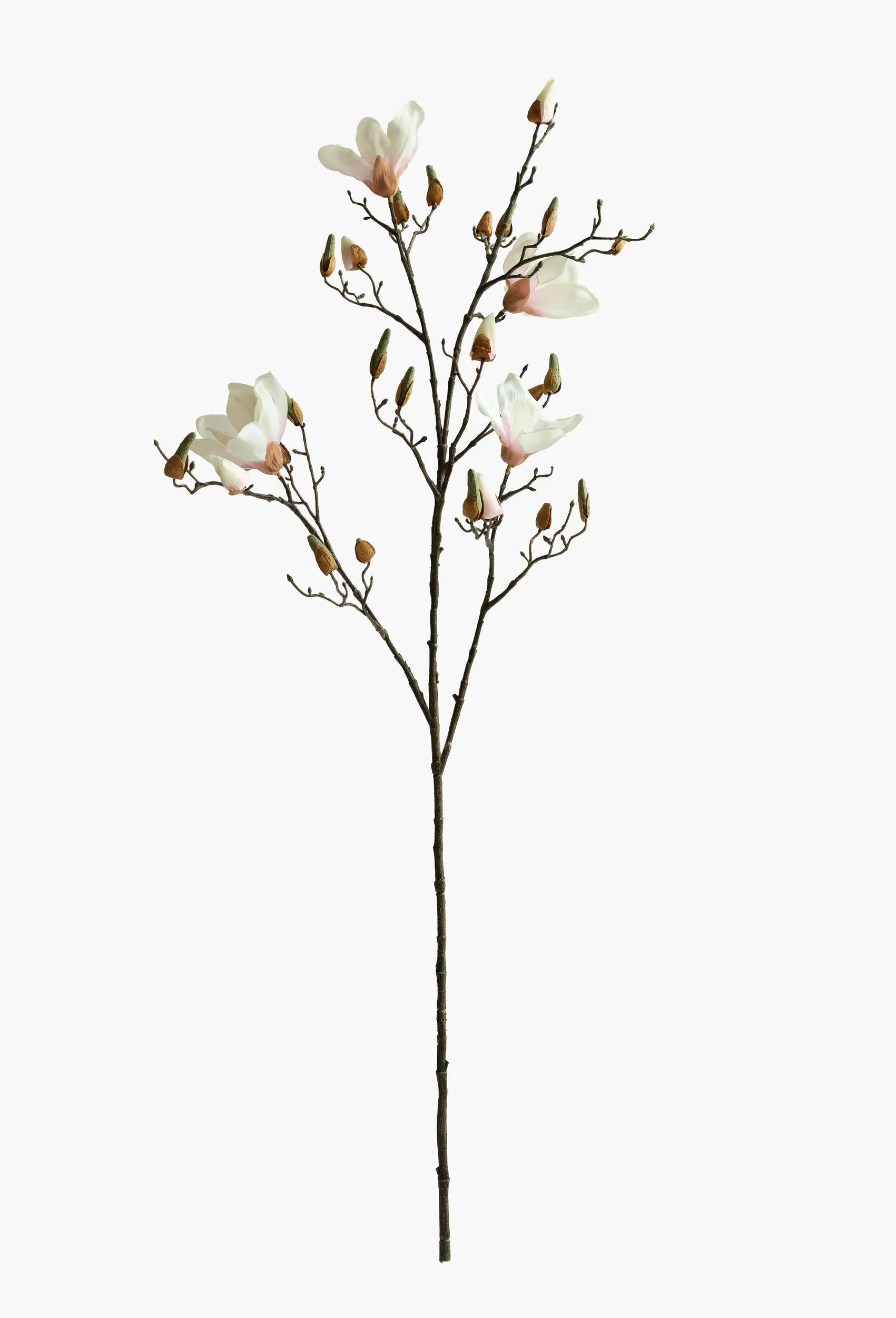 Large Branch Yulan Magnolia - Light Pink