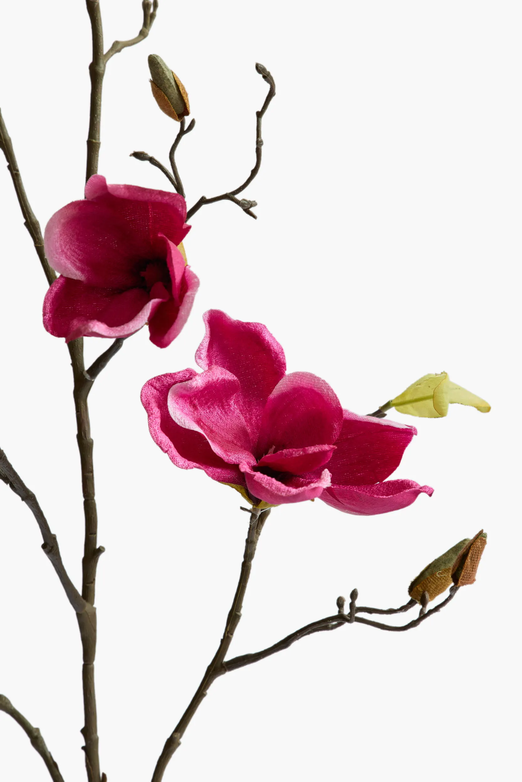 Large Branch Yulan Magnolia - Red (Cotton Fabric, With Leaves) secondary view