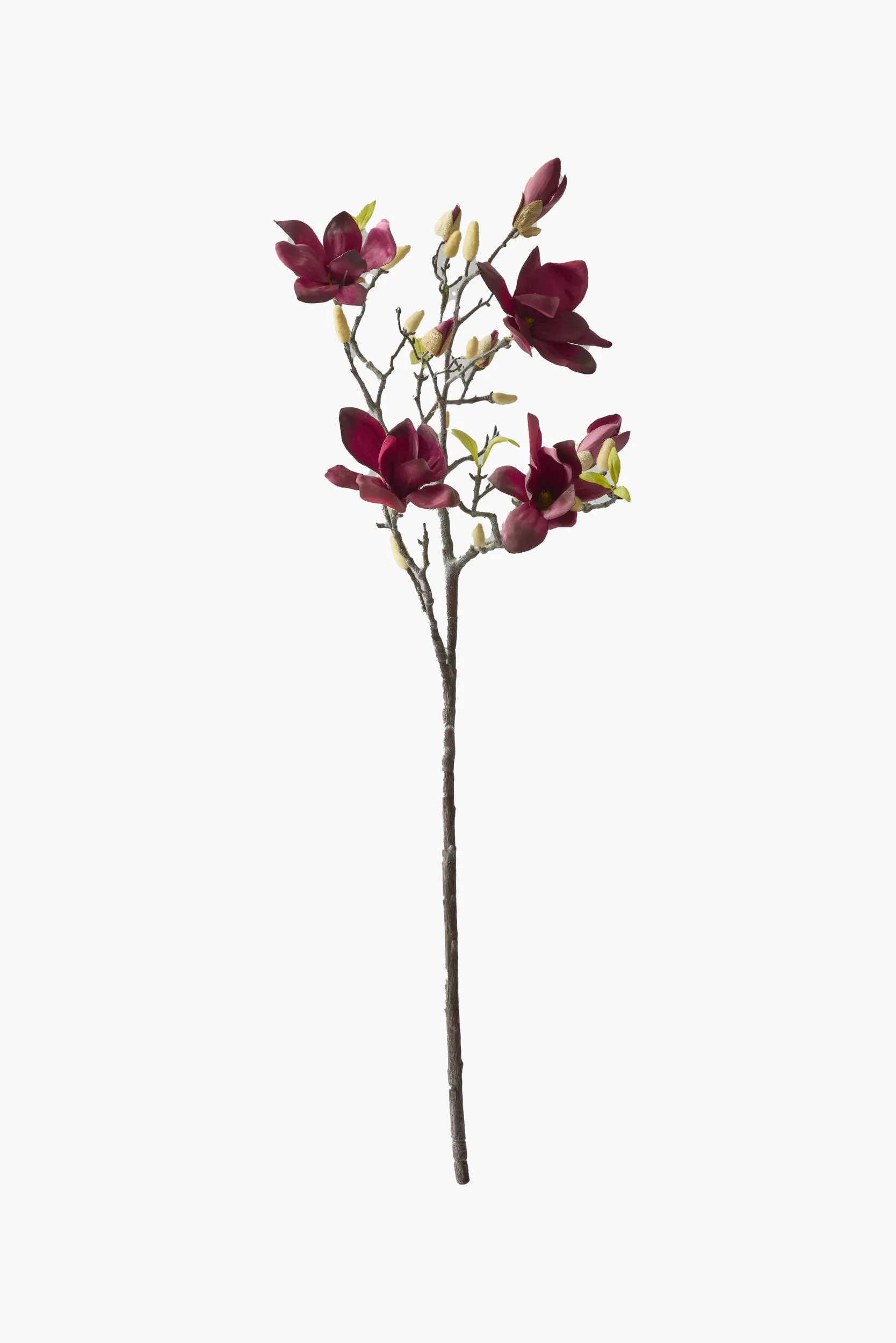 Large Branch Yulan Magnolia - Dark Red (Thick Stem)