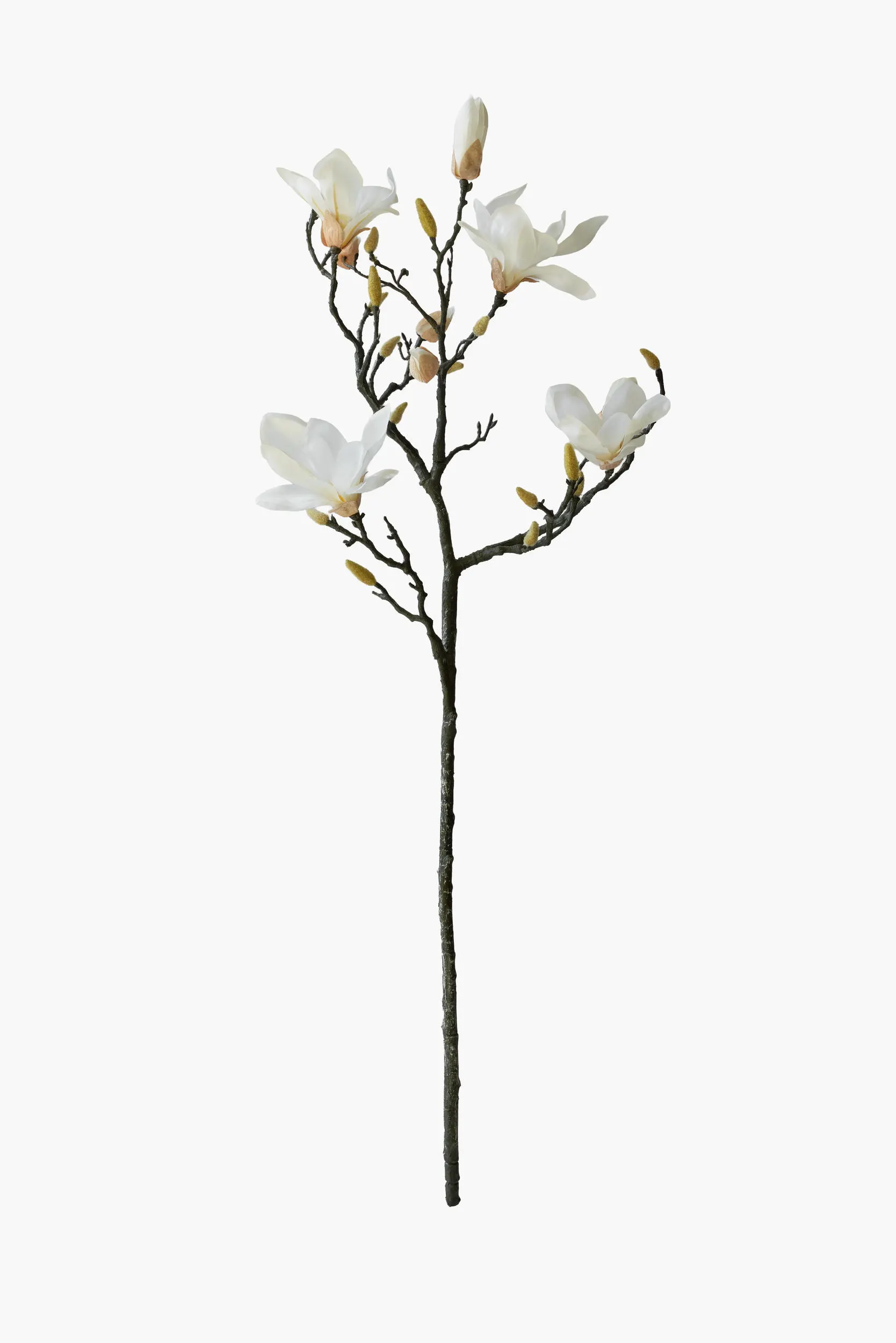 Large Branch Yulan Magnolia - White (Thick Stem)