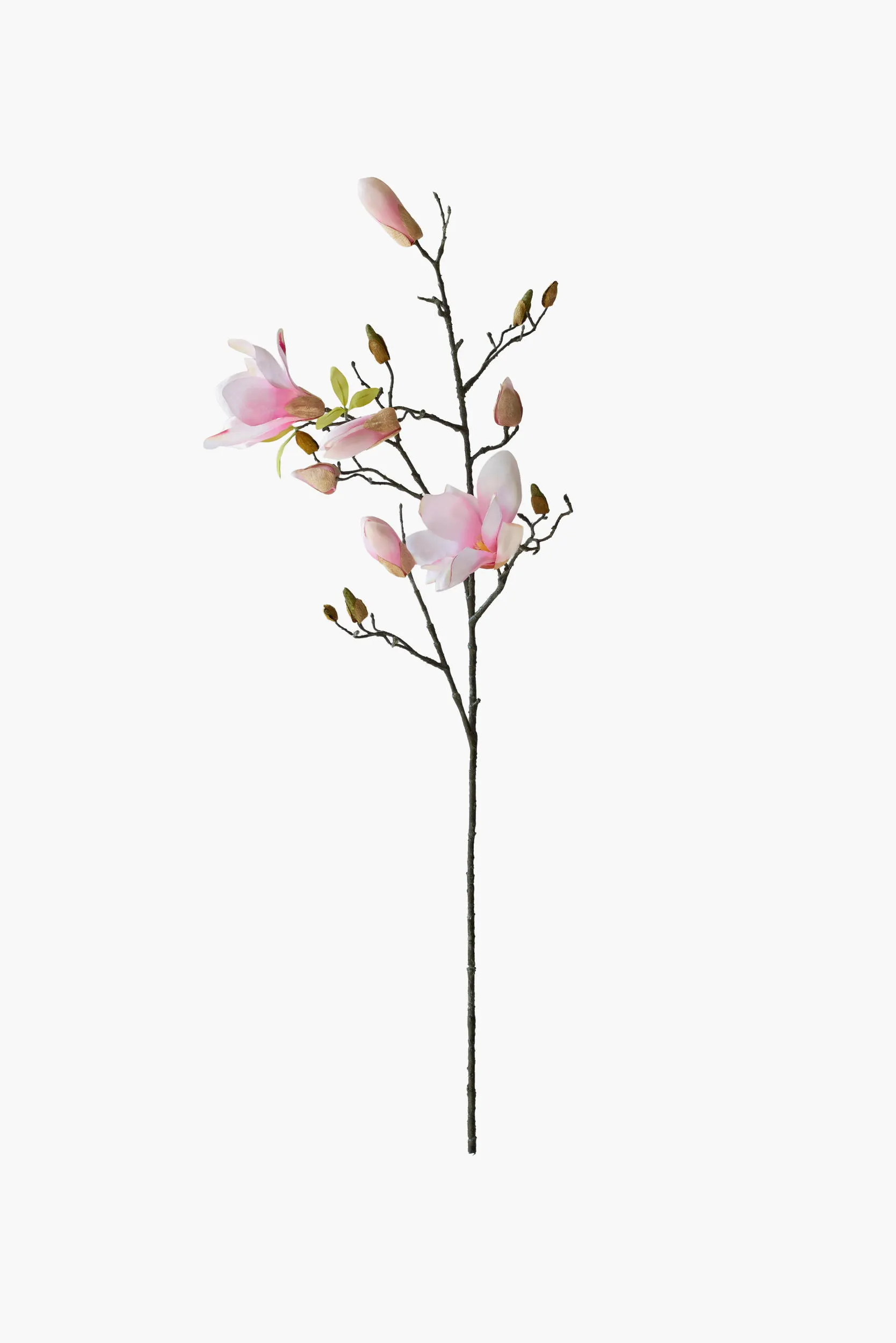 Medium Branch Yulan Magnolia - Light Pink