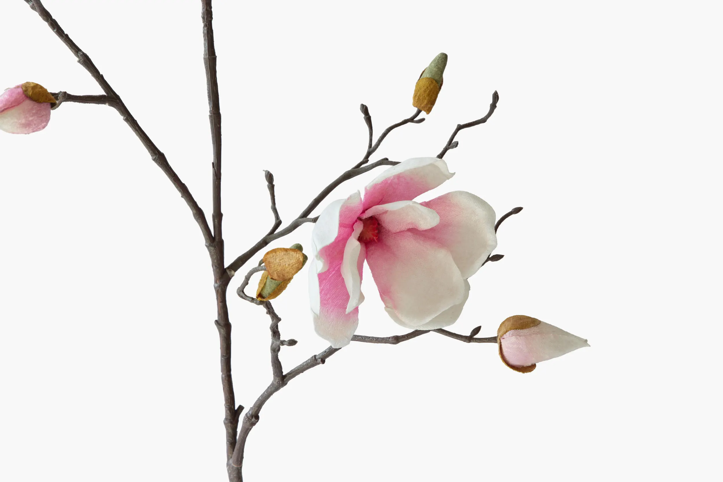 Medium Branch Yulan Magnolia - Light Pink (Cotton Fabric) secondary view