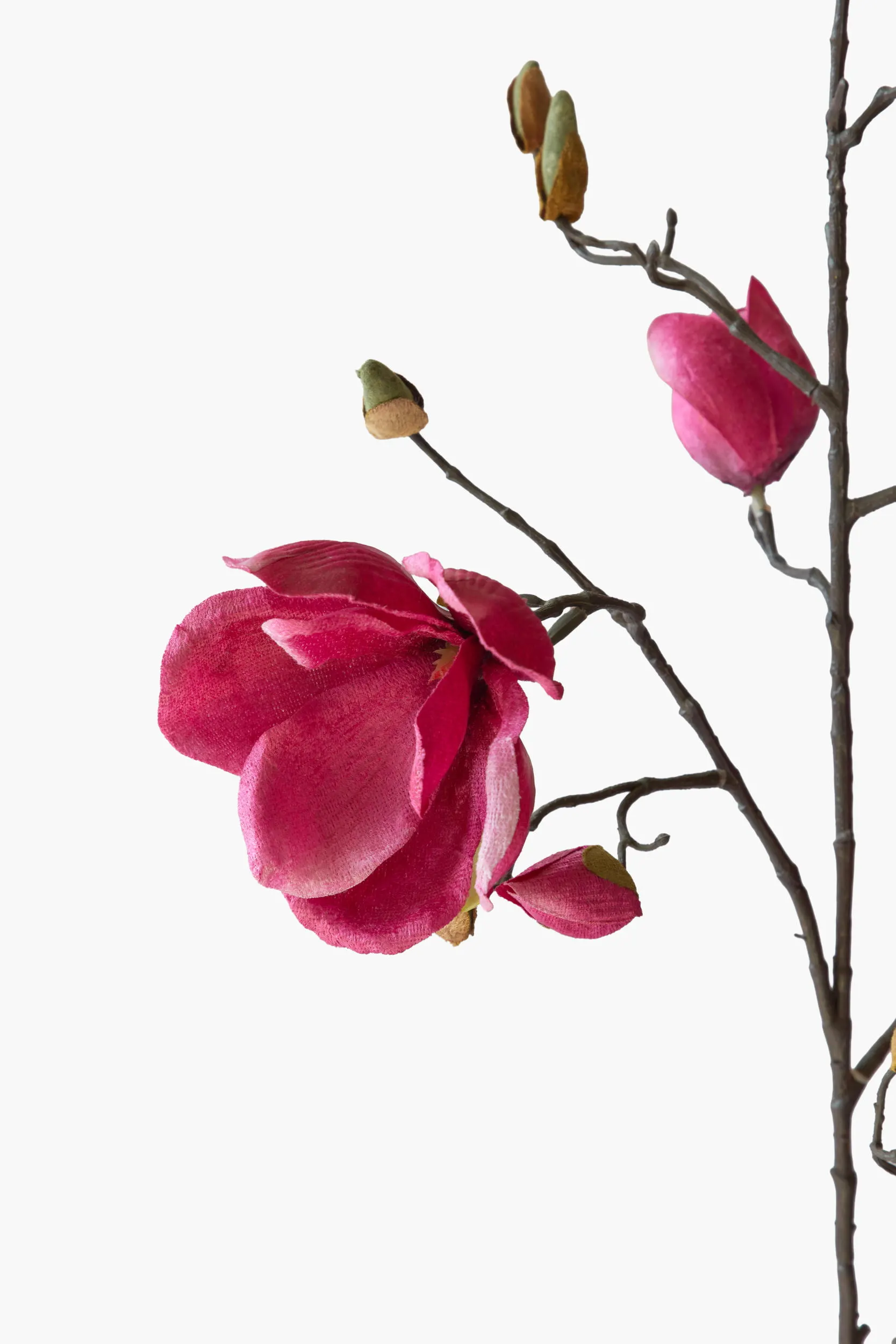 Medium Branch Yulan Magnolia - Red (Cotton Fabric) secondary view