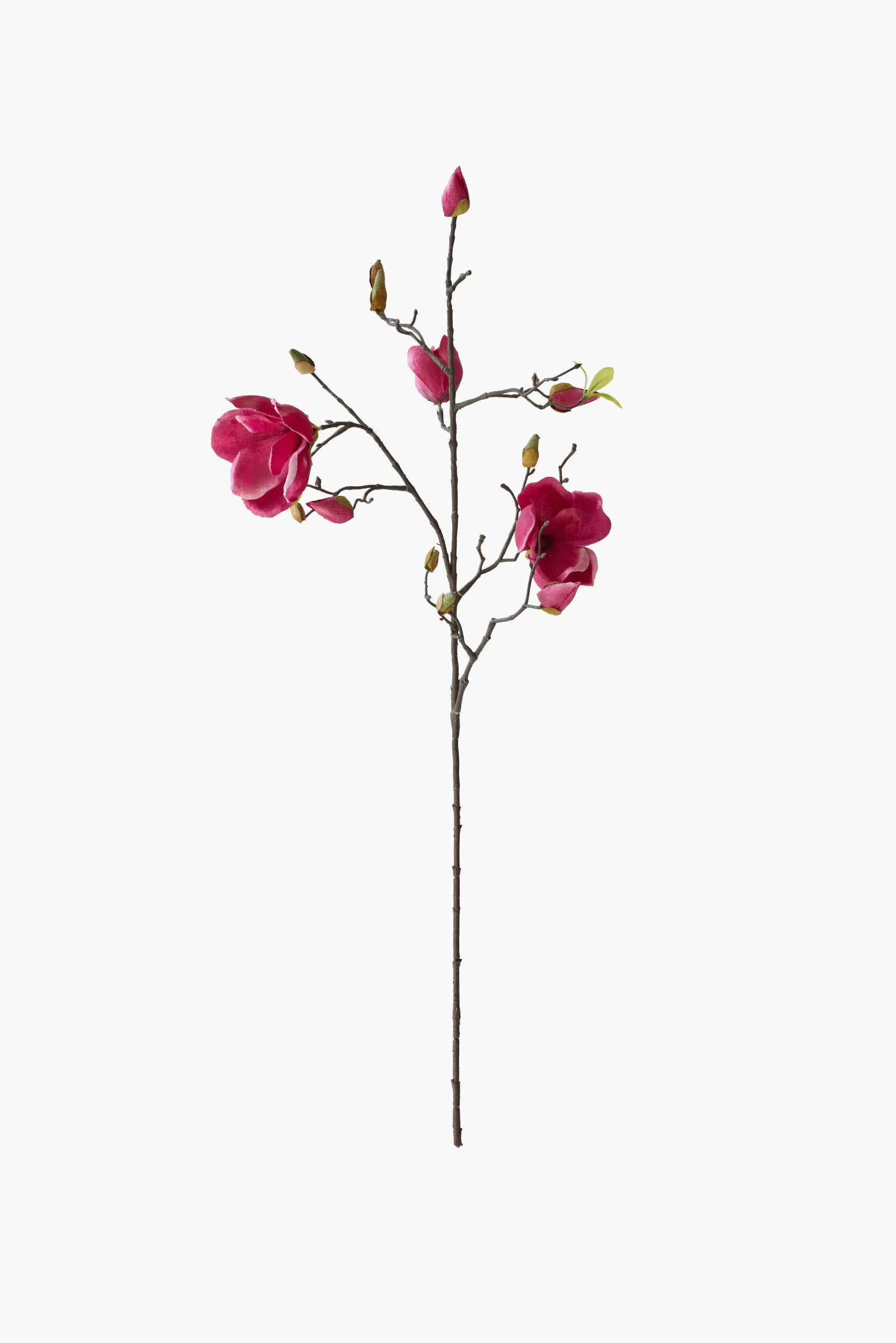 Medium Branch Yulan Magnolia - Red (Cotton Fabric)