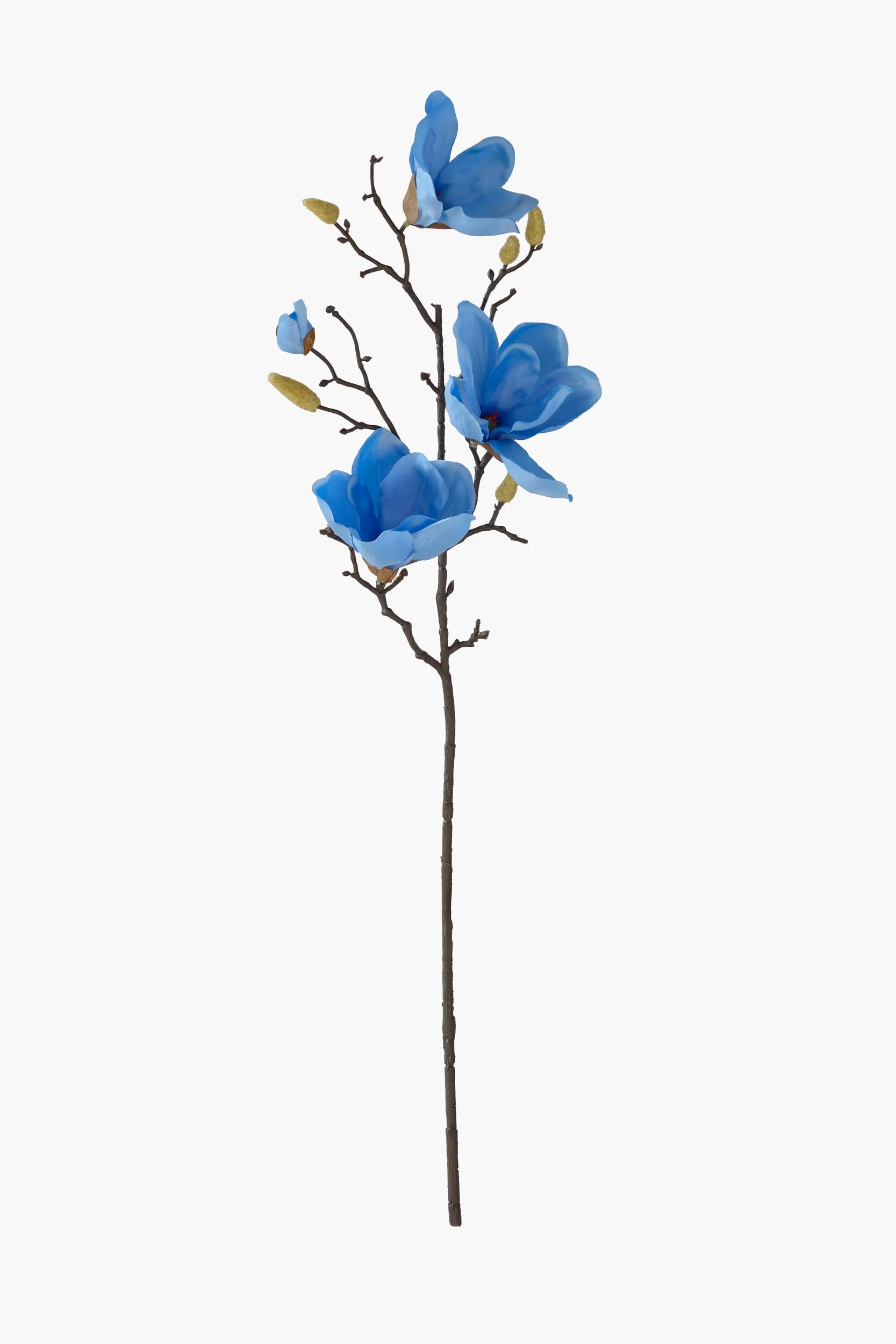 Medium Branch Yulan Magnolia - Blue