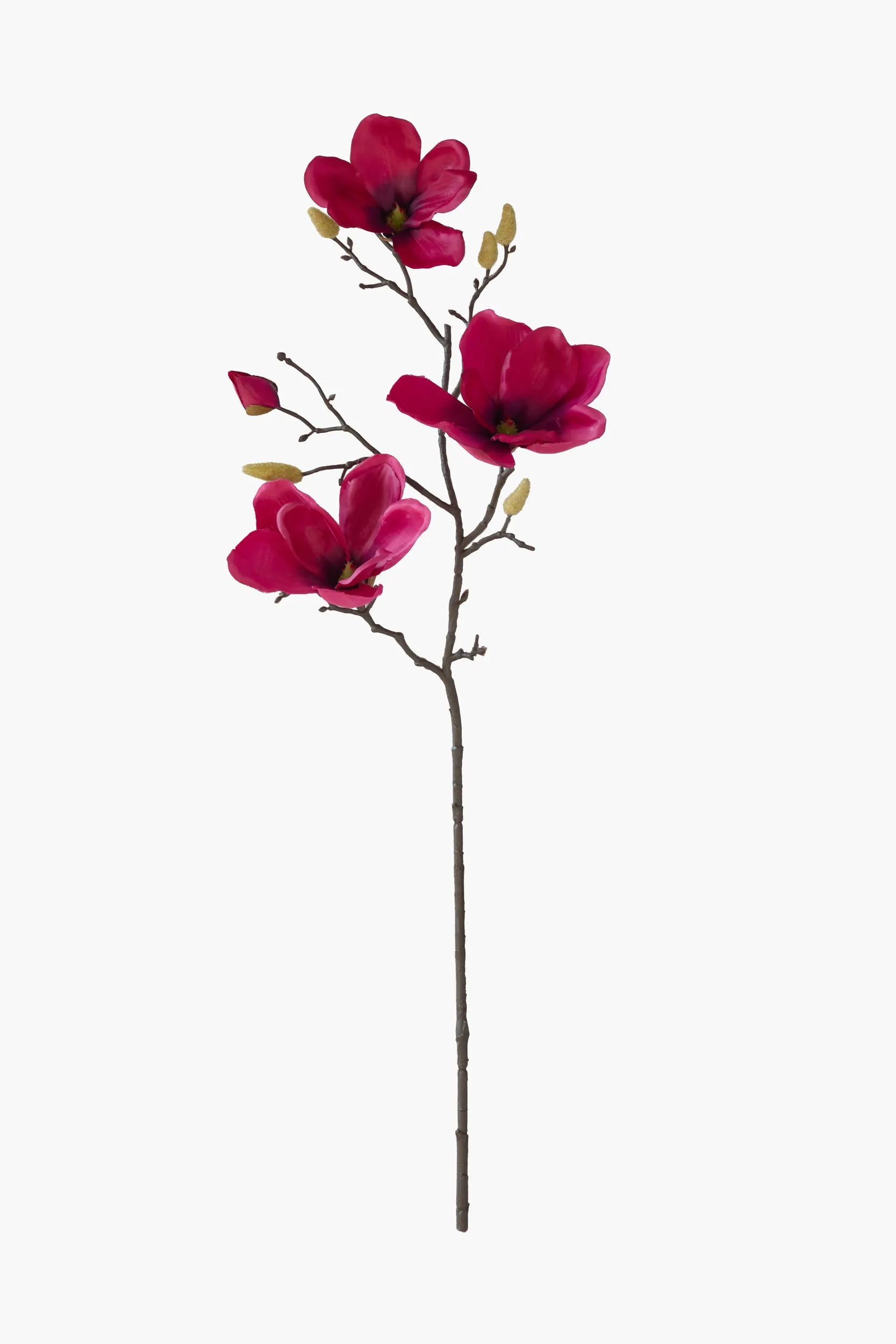 Medium Branch Yulan Magnolia - Dark Red