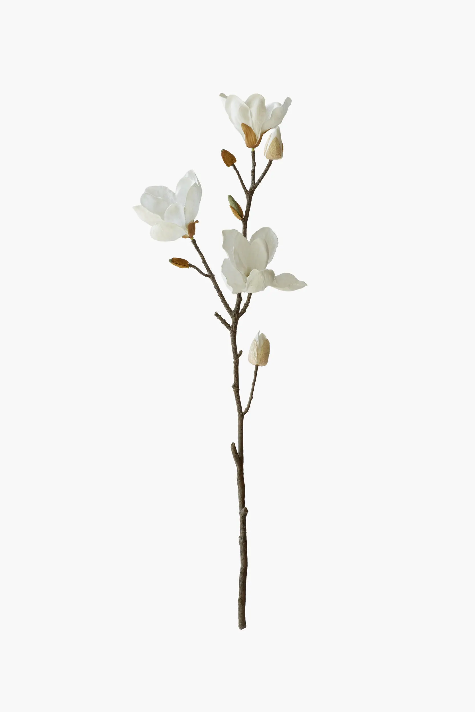 Medium Branch Yulan Magnolia - White (Cotton Fabric)