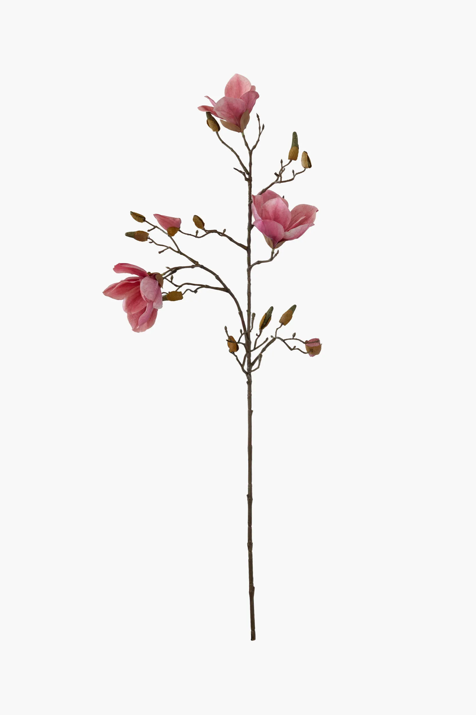 Medium Branch Yulan Magnolia (Real Touch)