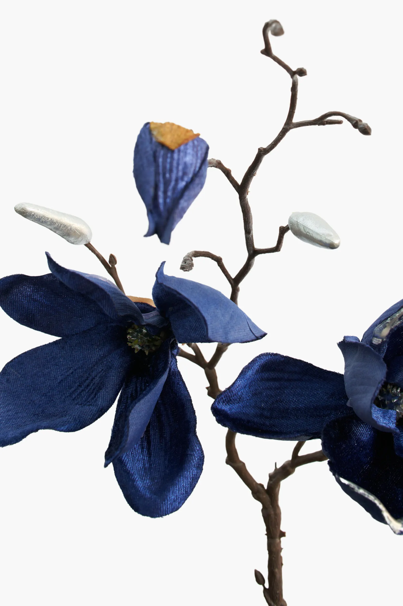 Short Branch Yulan Magnolia secondary view