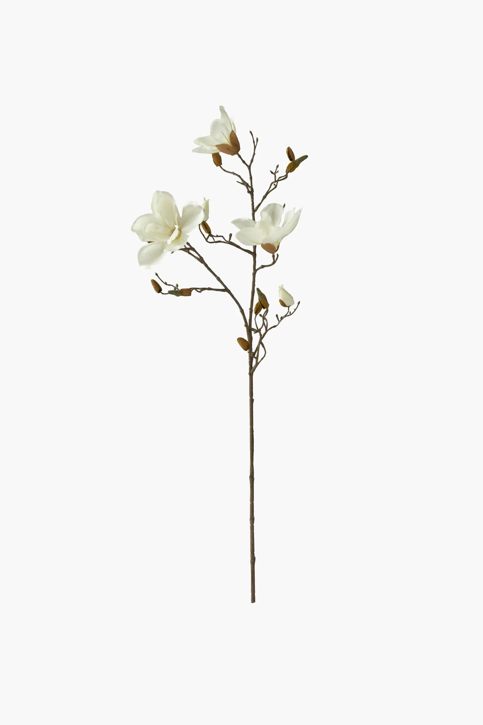 Medium Branch Yulan Magnolia (Silk Fabric)