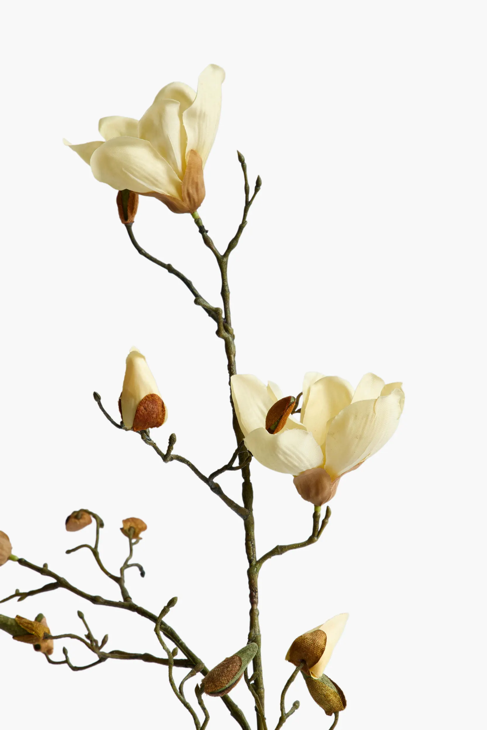Medium Branch Yulan Magnolia (Silk Fabric) - Yellow secondary view