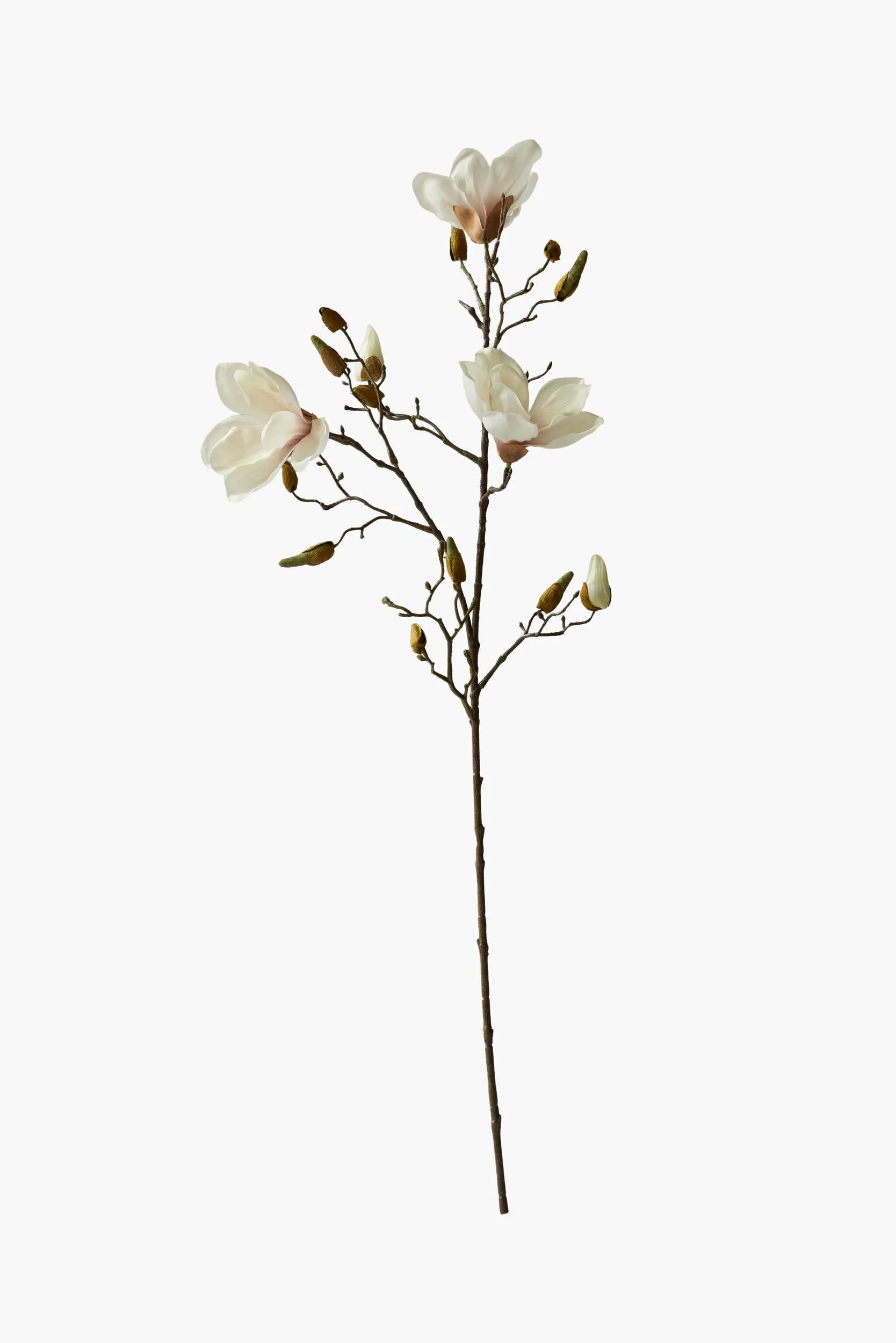 Medium Branch Yulan Magnolia (Texture Printed Fabric)