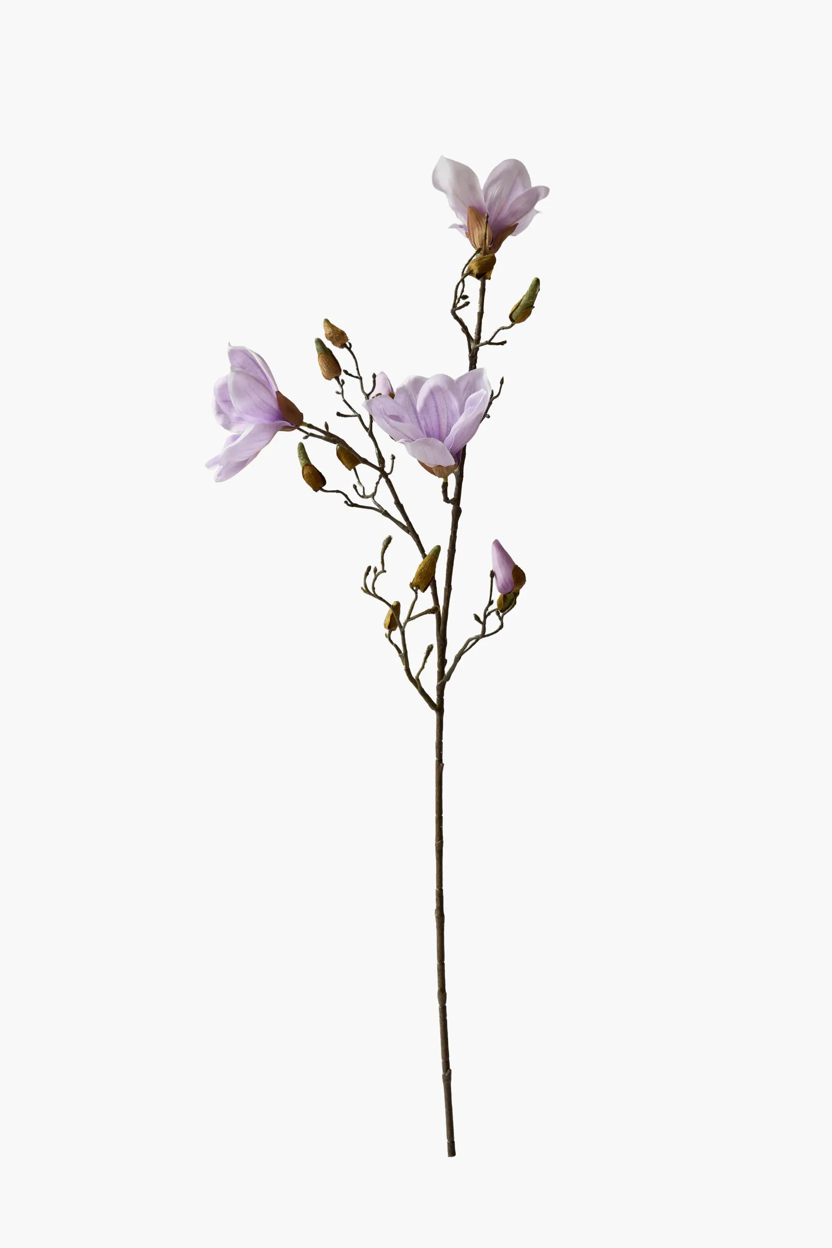 Medium Branch Yulan Magnolia (Texture Printed Fabric) - Purple