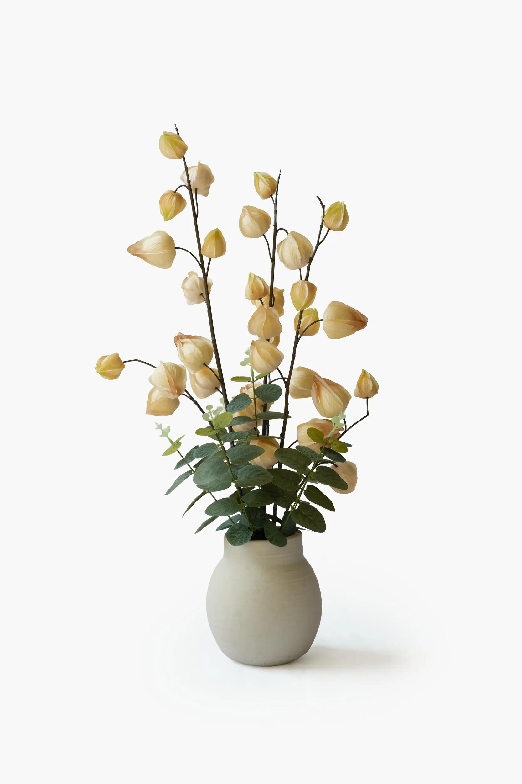 Physalis Arrangement