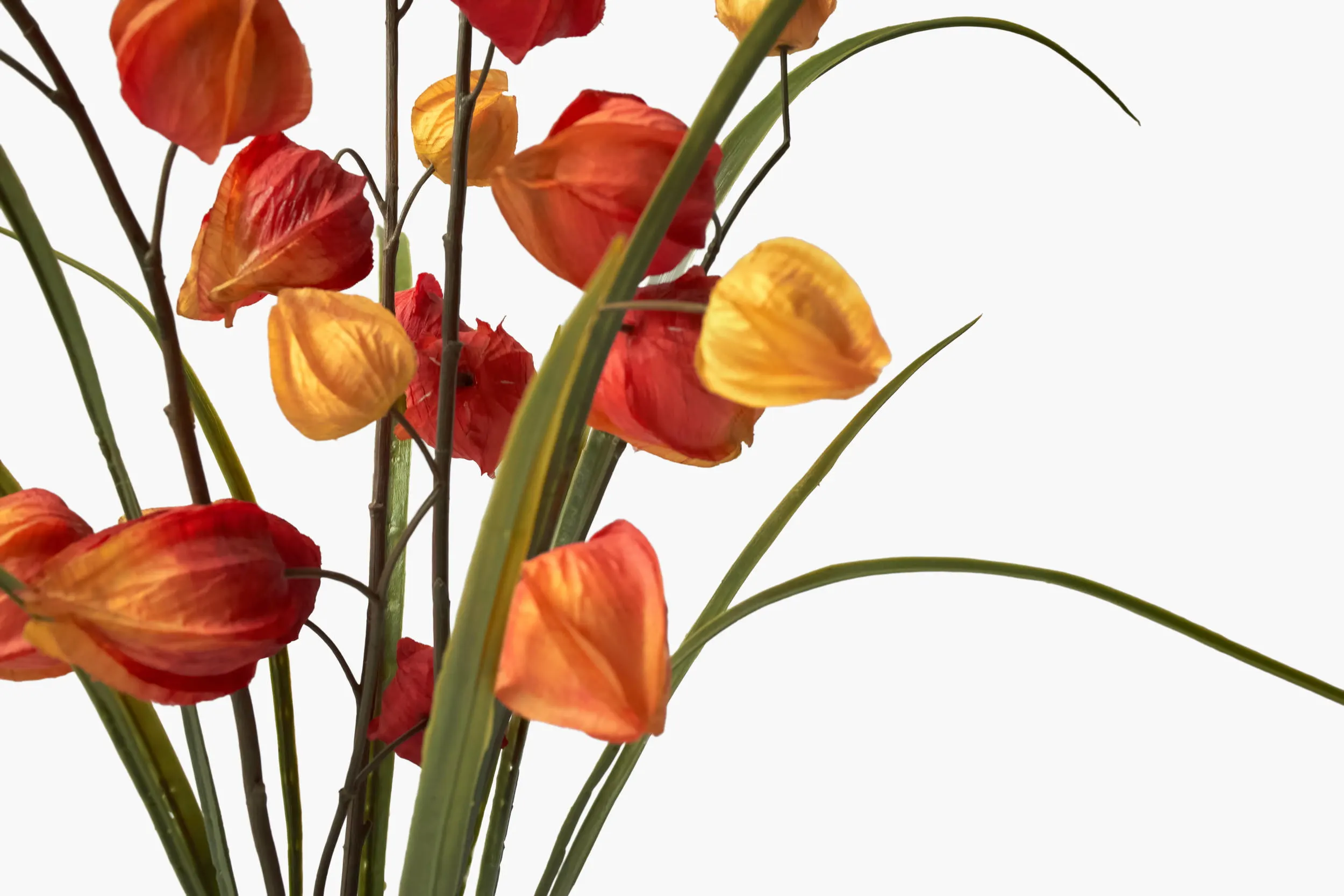 Physalis Collection - Orange secondary view