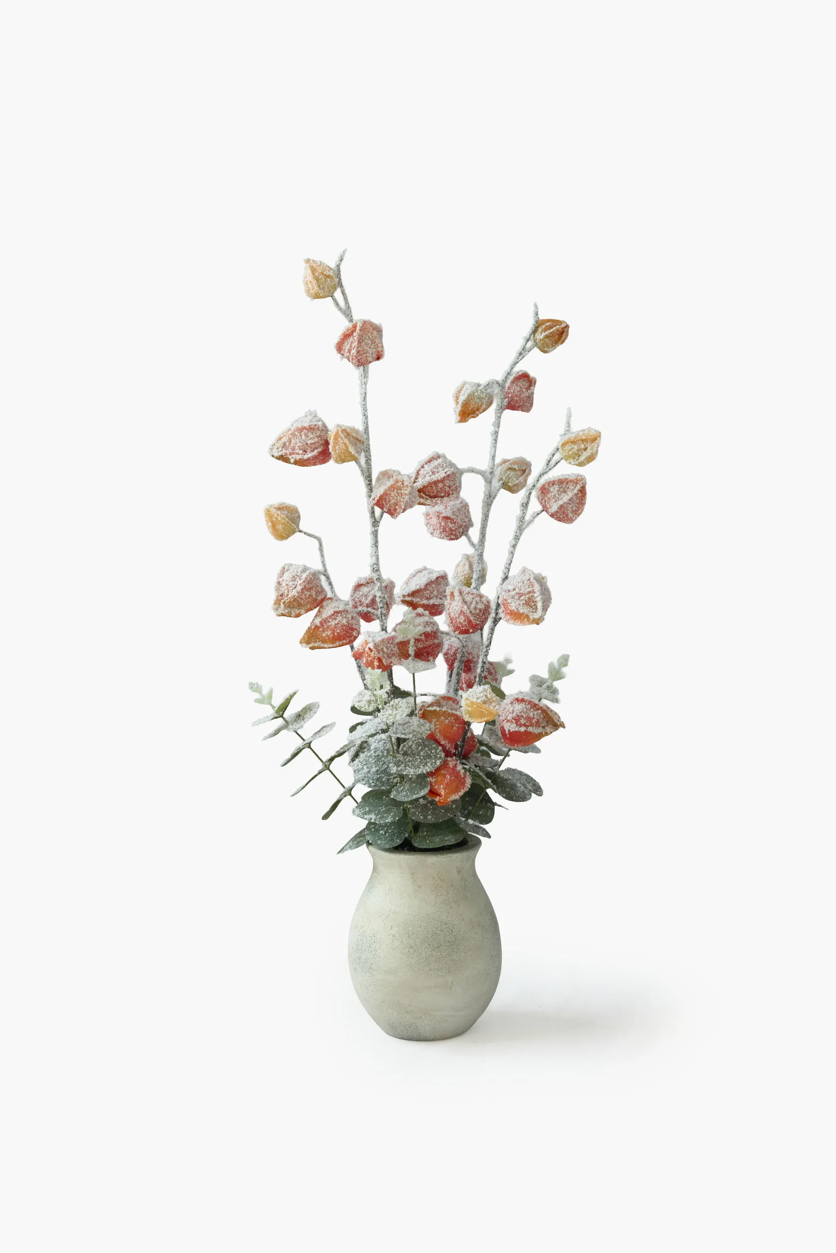 Snowed Physalis Arrangement
