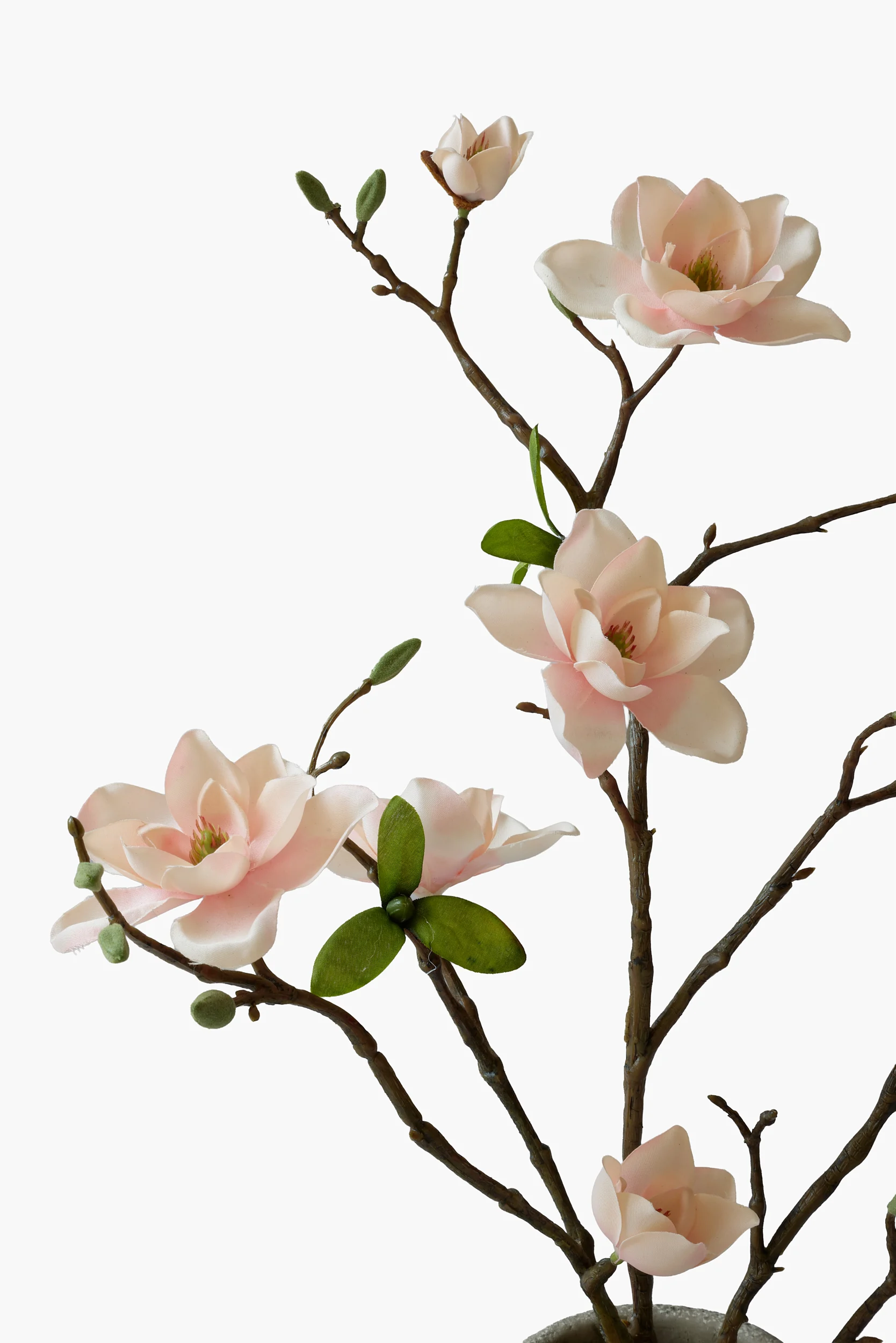 Potted Collection - Peach Pink secondary view