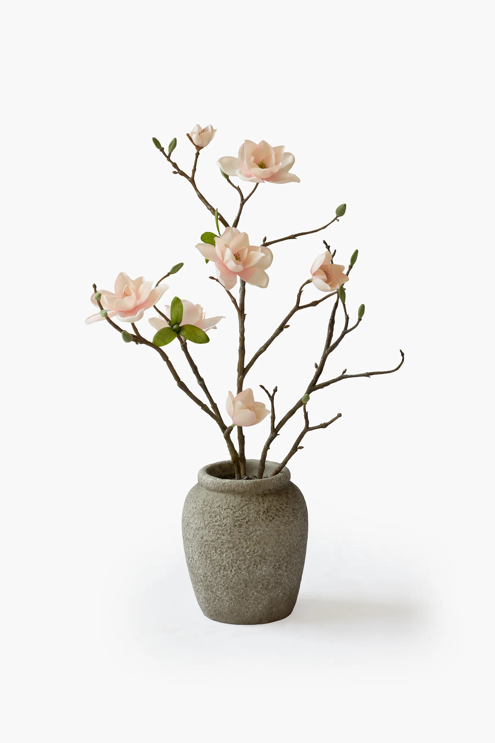 Potted Collection - Peach Pink