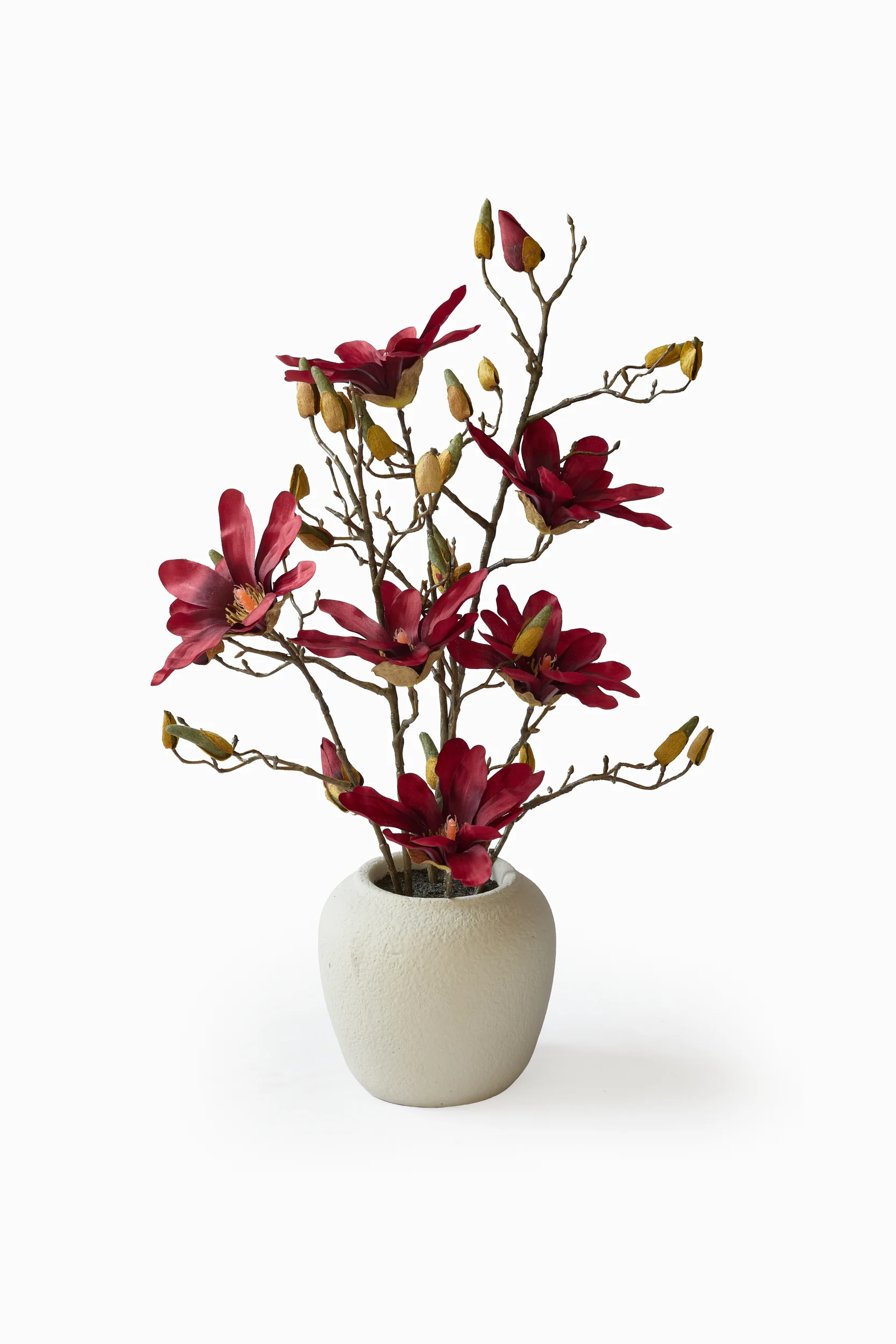 Potted Collection - Red