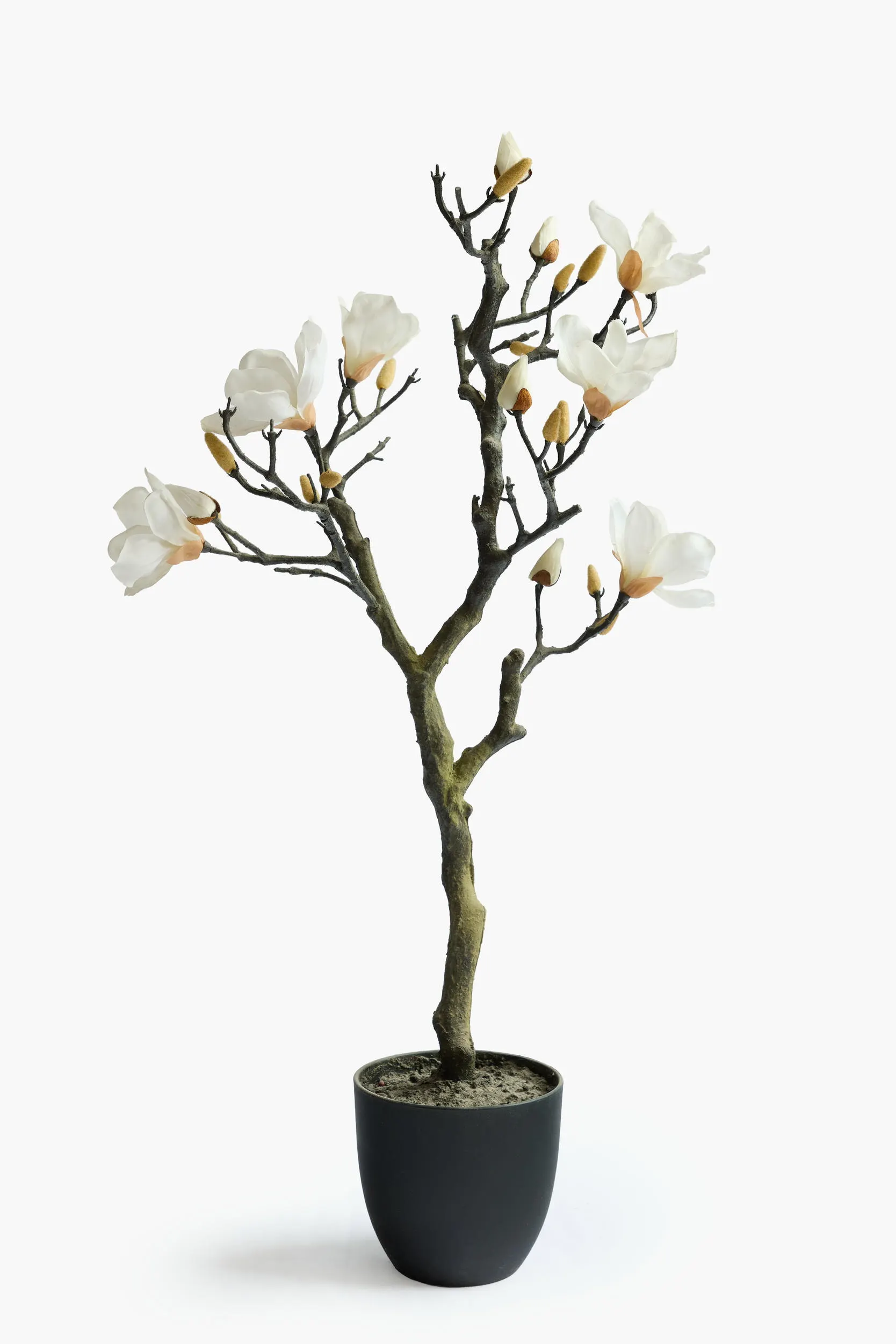 Large Branch Potted Collection - White